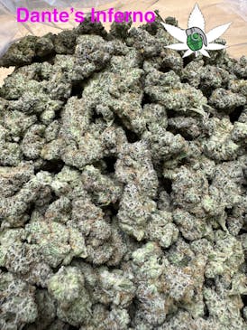FLOWERBOMB- DANTE'S INFERNO (3.5g $20 - OZ $100)