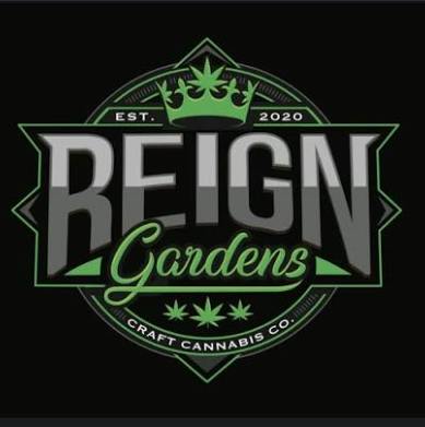 Reign Gardens - Flower 3.5 g - Cream Smoothie - Indica