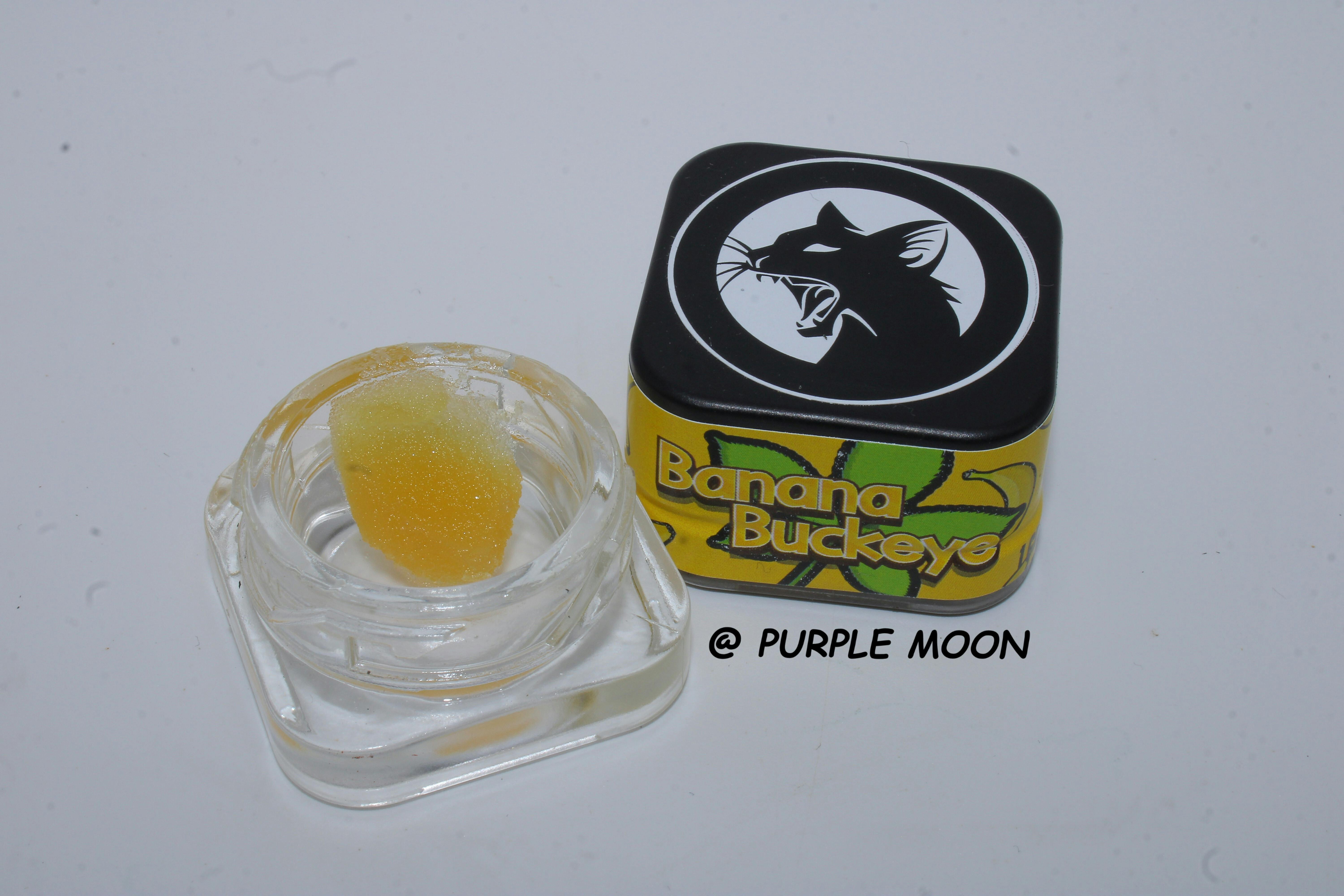 BLACK CAT | 1G CONCENTRATE | OTD