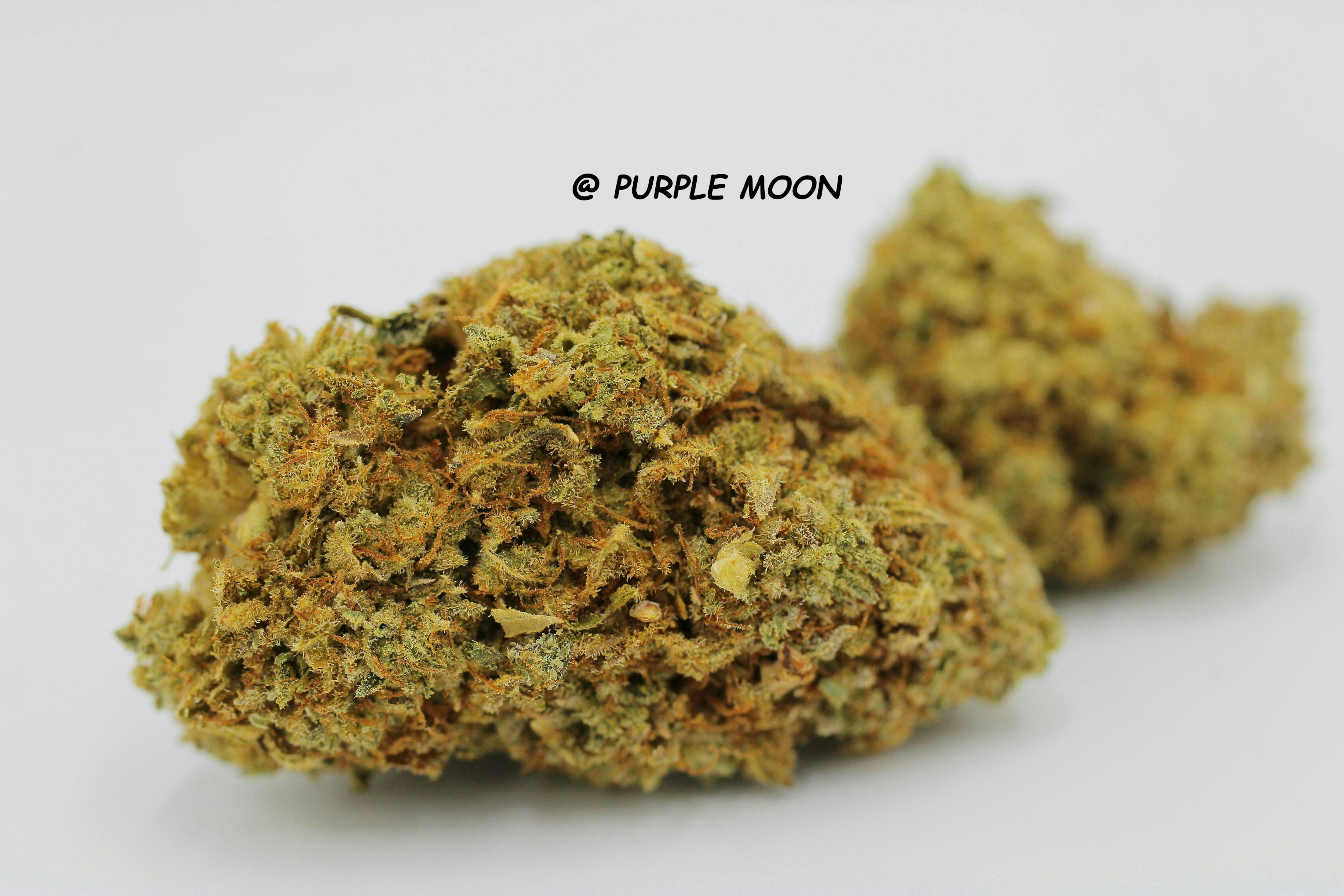 GRANDPA'S COOKIES | OTD