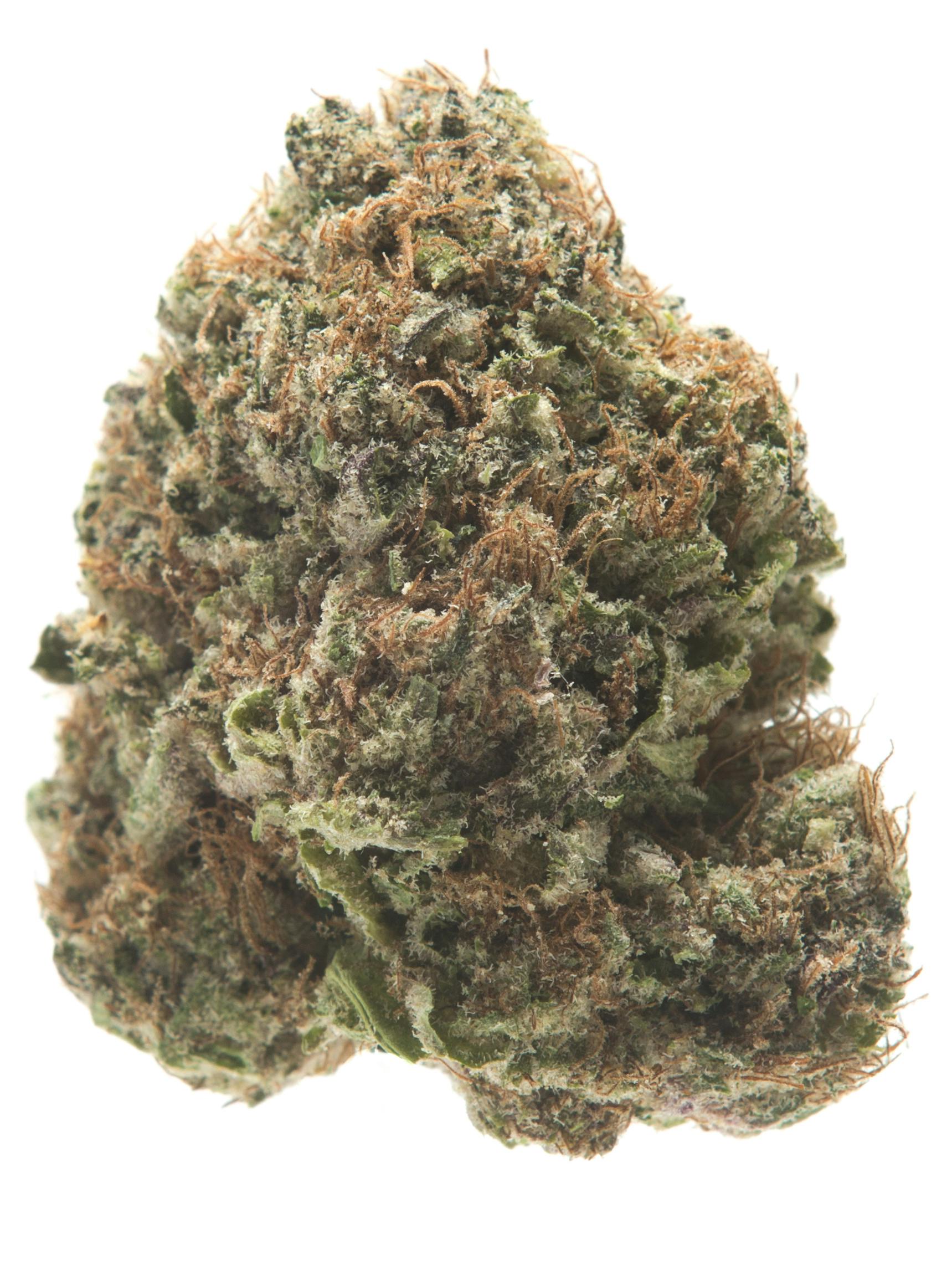 BLUEBERRY SODA I OTD