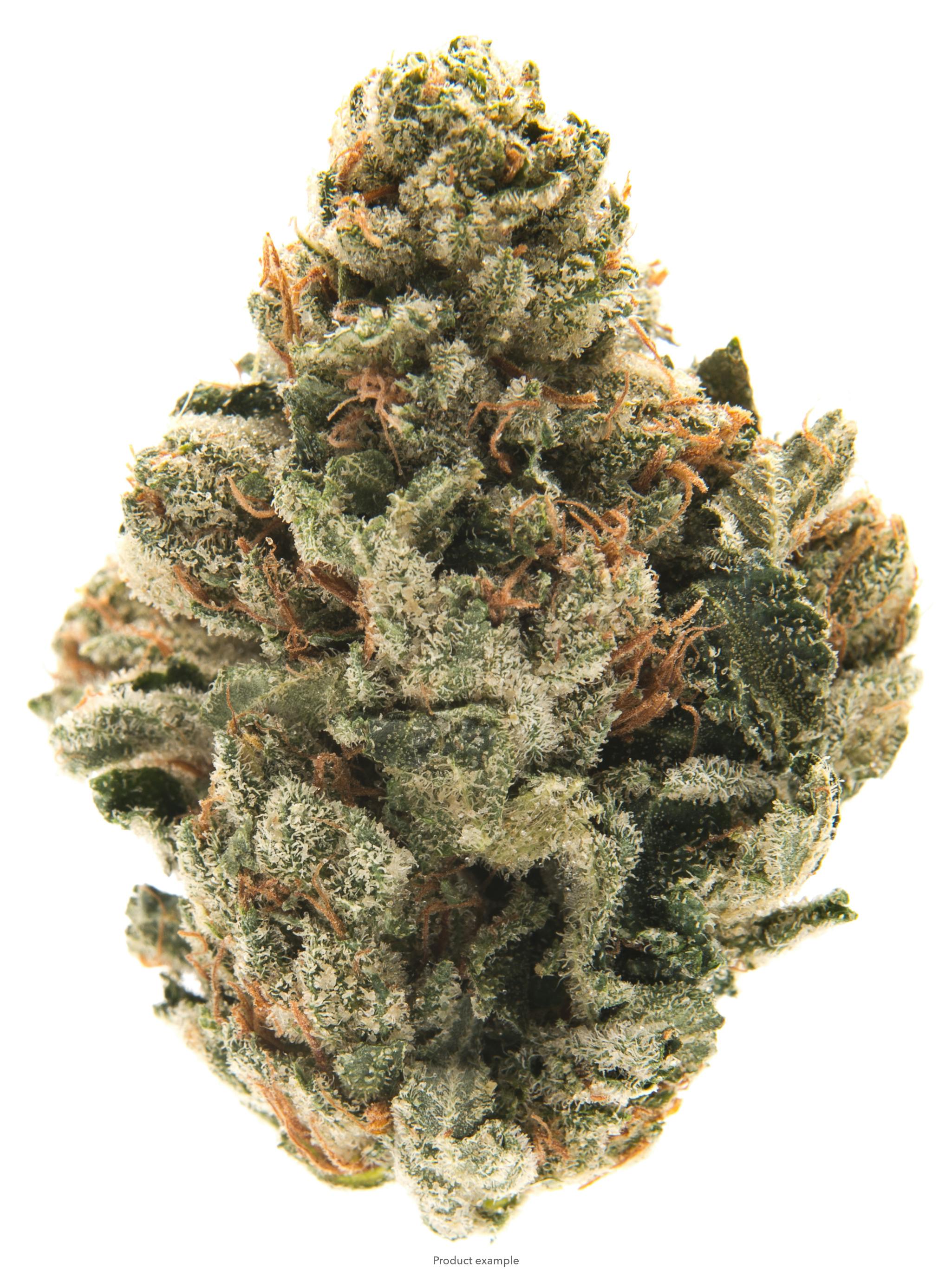 Skunk Berry Otd