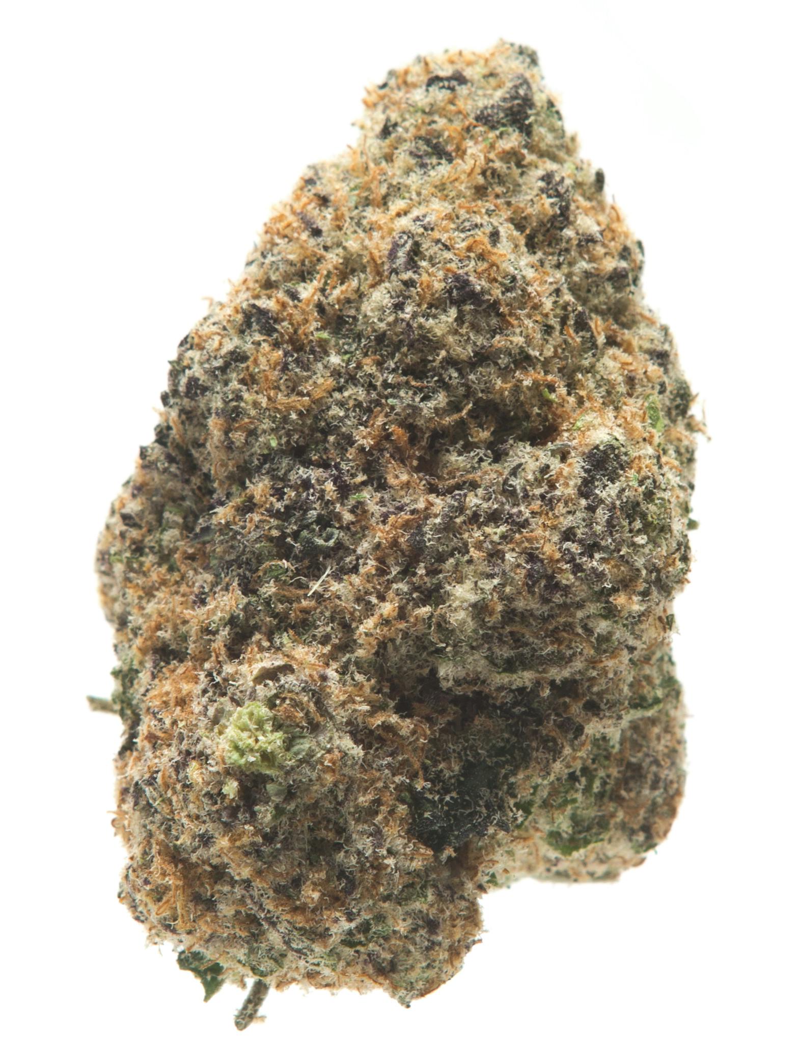 Unc Snoop Otd