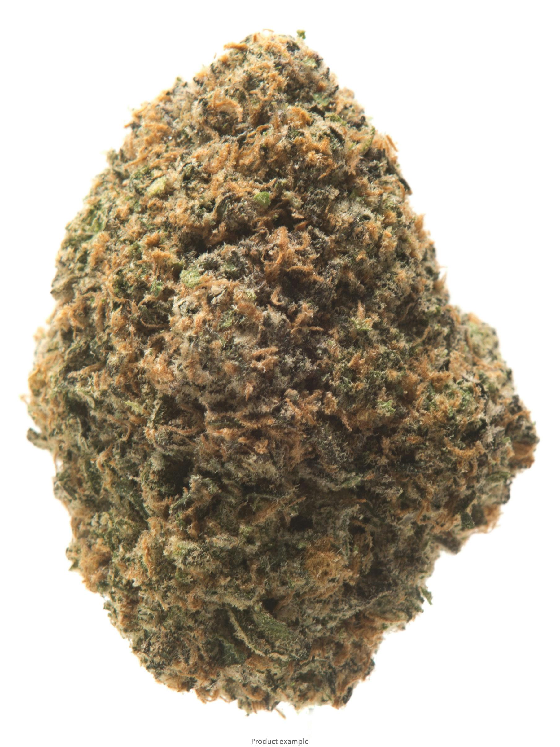 Purple Punch Otd