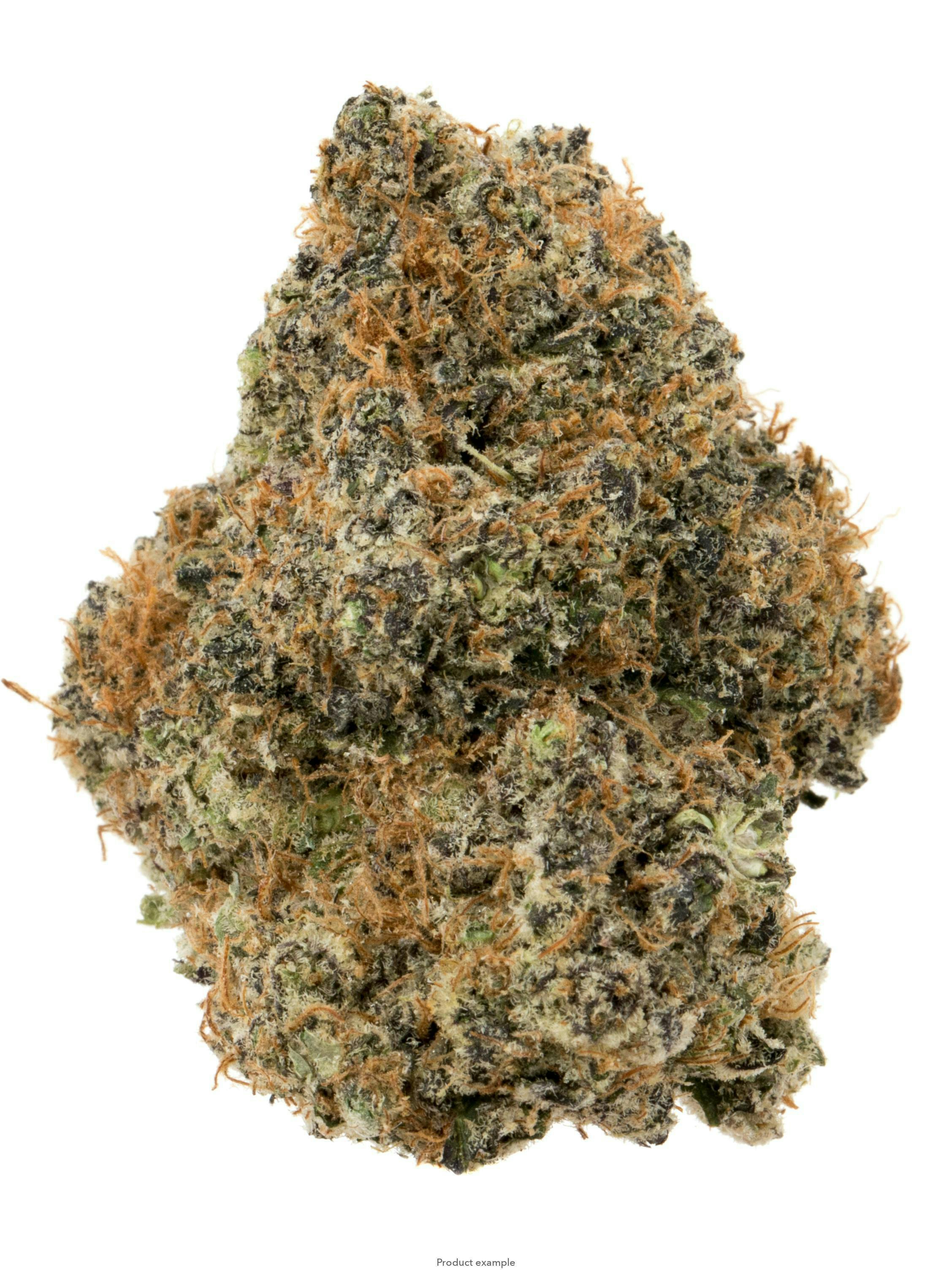 MILK & COOKIES 4G | OTD