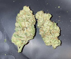 *Premier Shelf* Gary Payton $150/OZ OTD