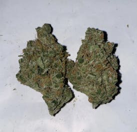 *Premier Shelf* Lemon Skunk $150/OZ OTD