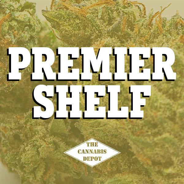Silver Lake | Premier Shelf Flower | (S) Lemon Pound Cake