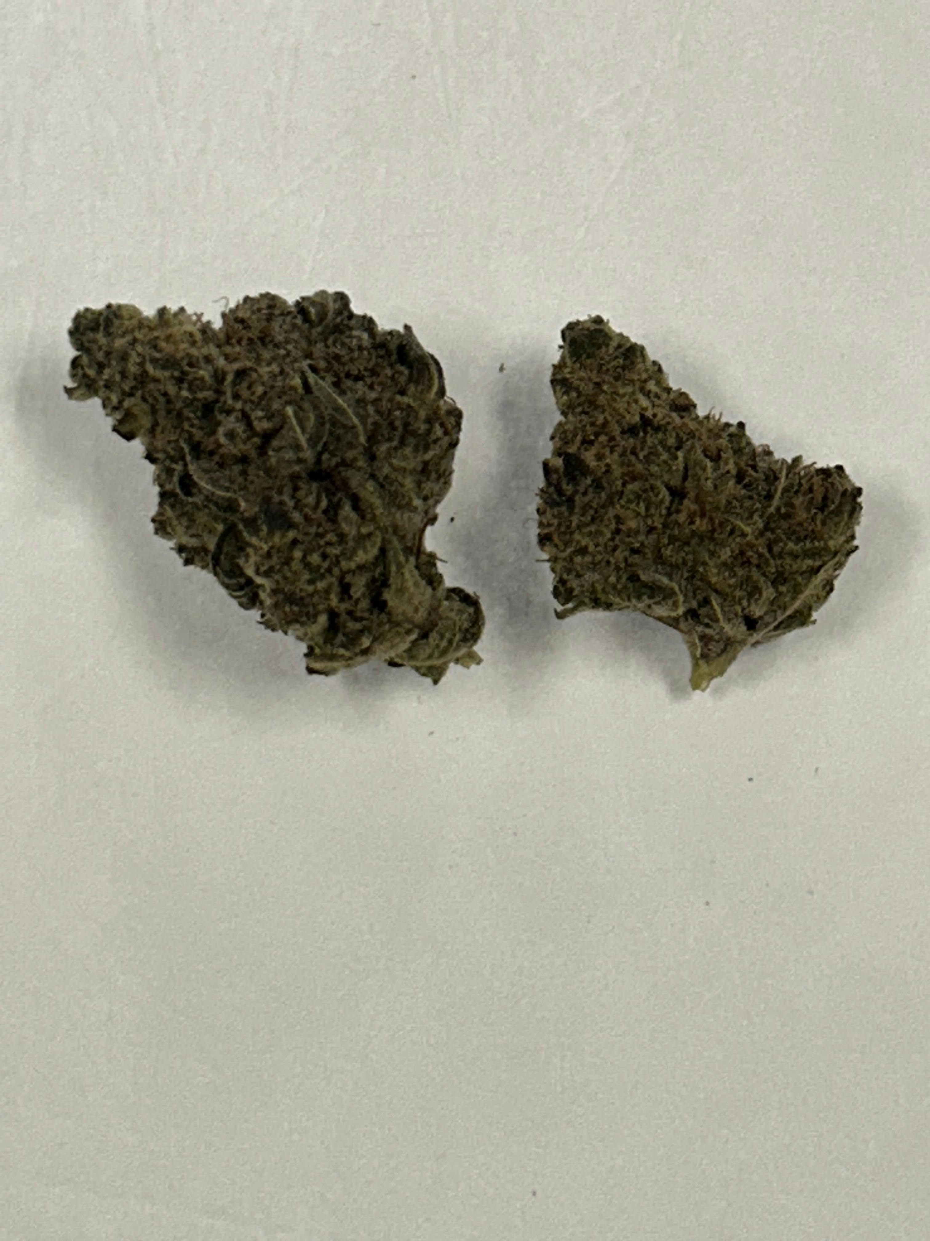 *$89 Shelf* Trop Cherry $89/OZ OTD