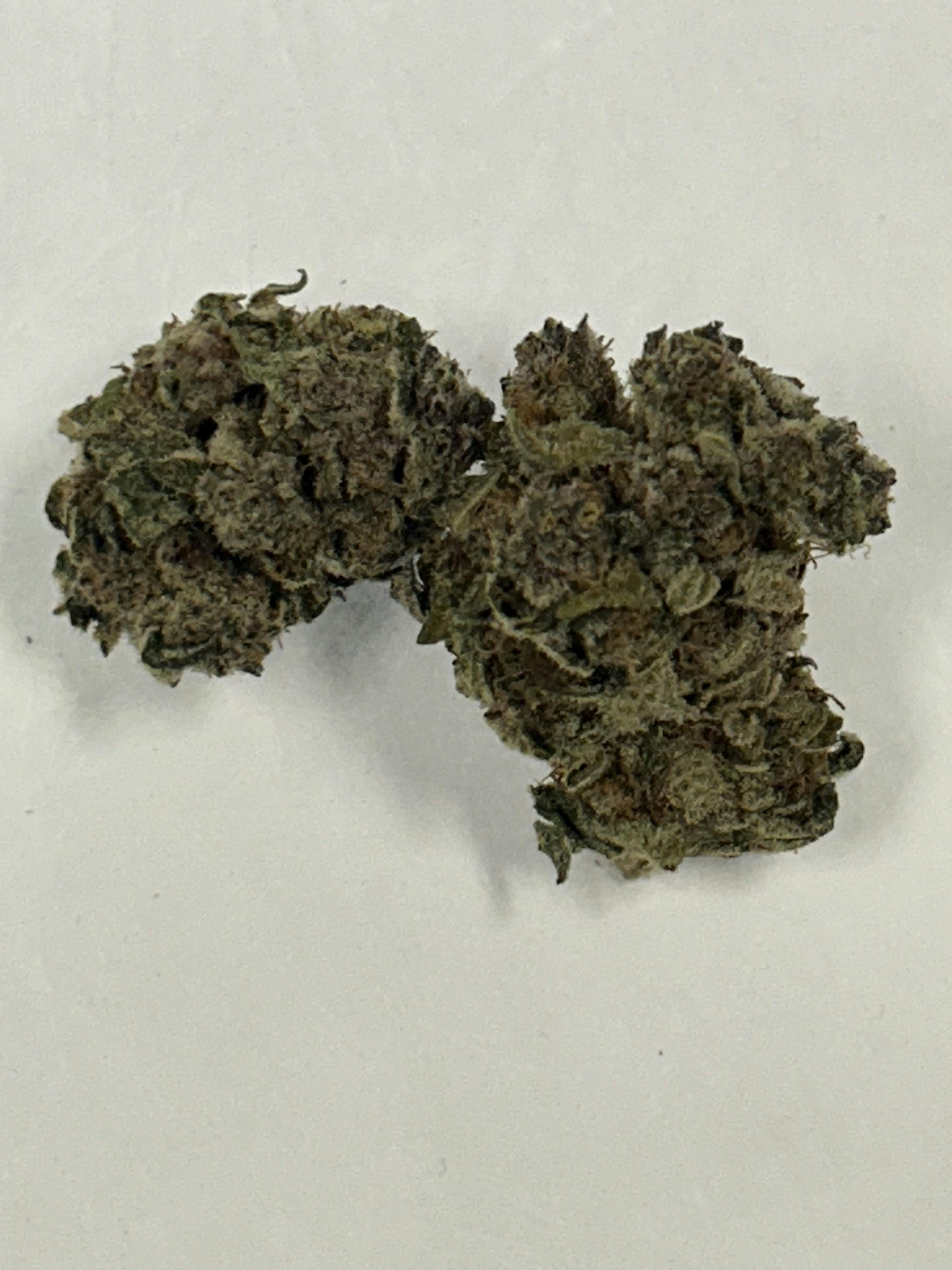 Shelf Green Genie /oz Otd