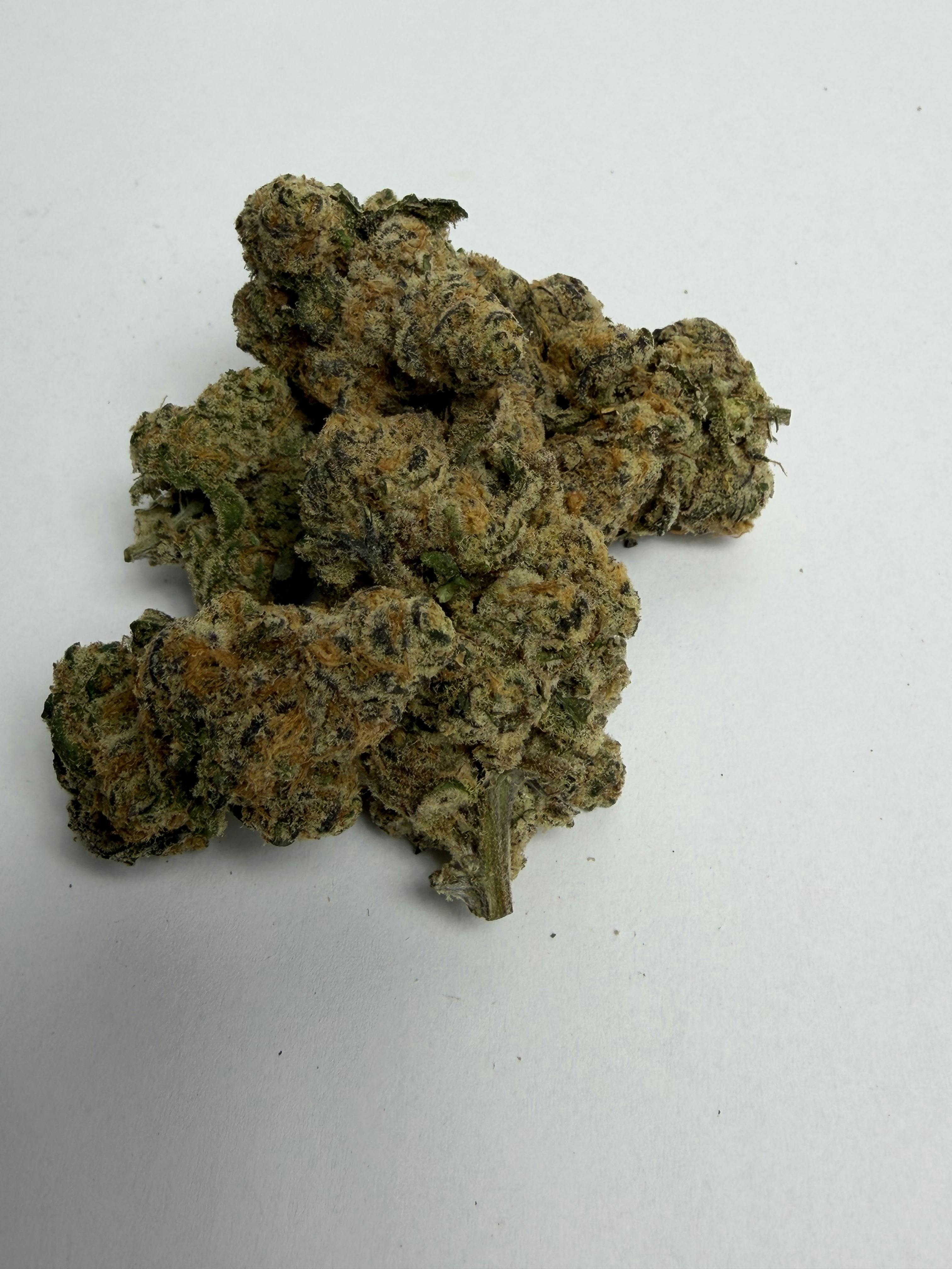 NOBO | Reserve Shelf Flower | (S) Sour Apple Mai Tai