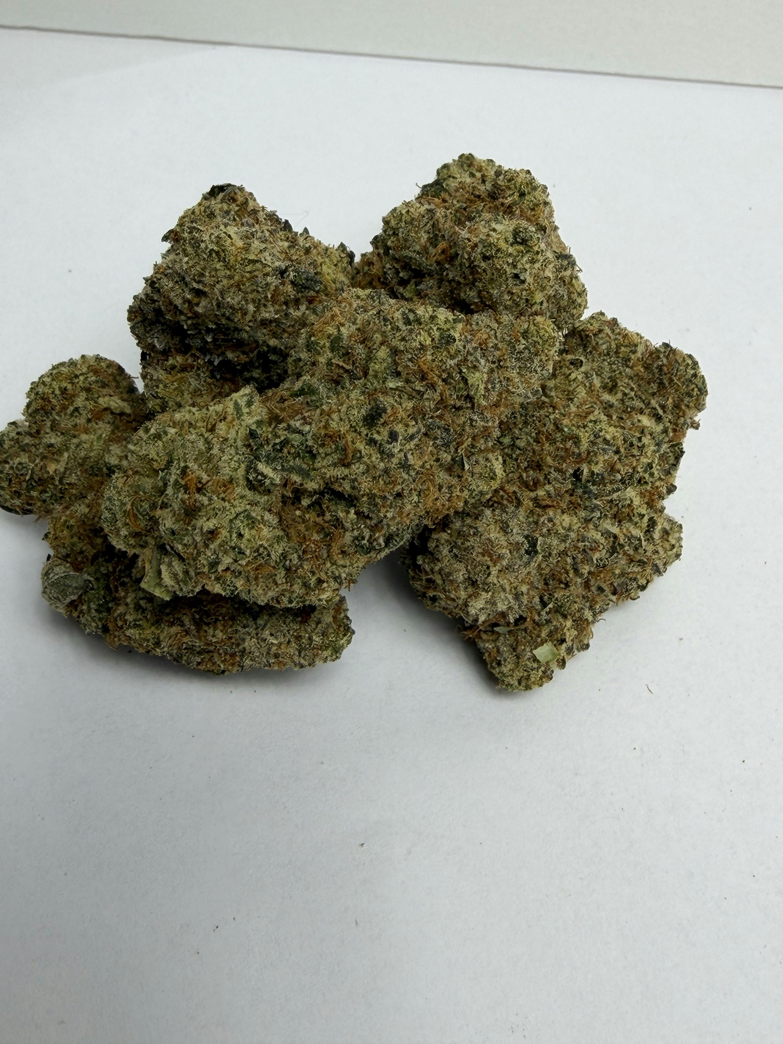 NOBO | Reserve Shelf Flower | (H) Sherbz