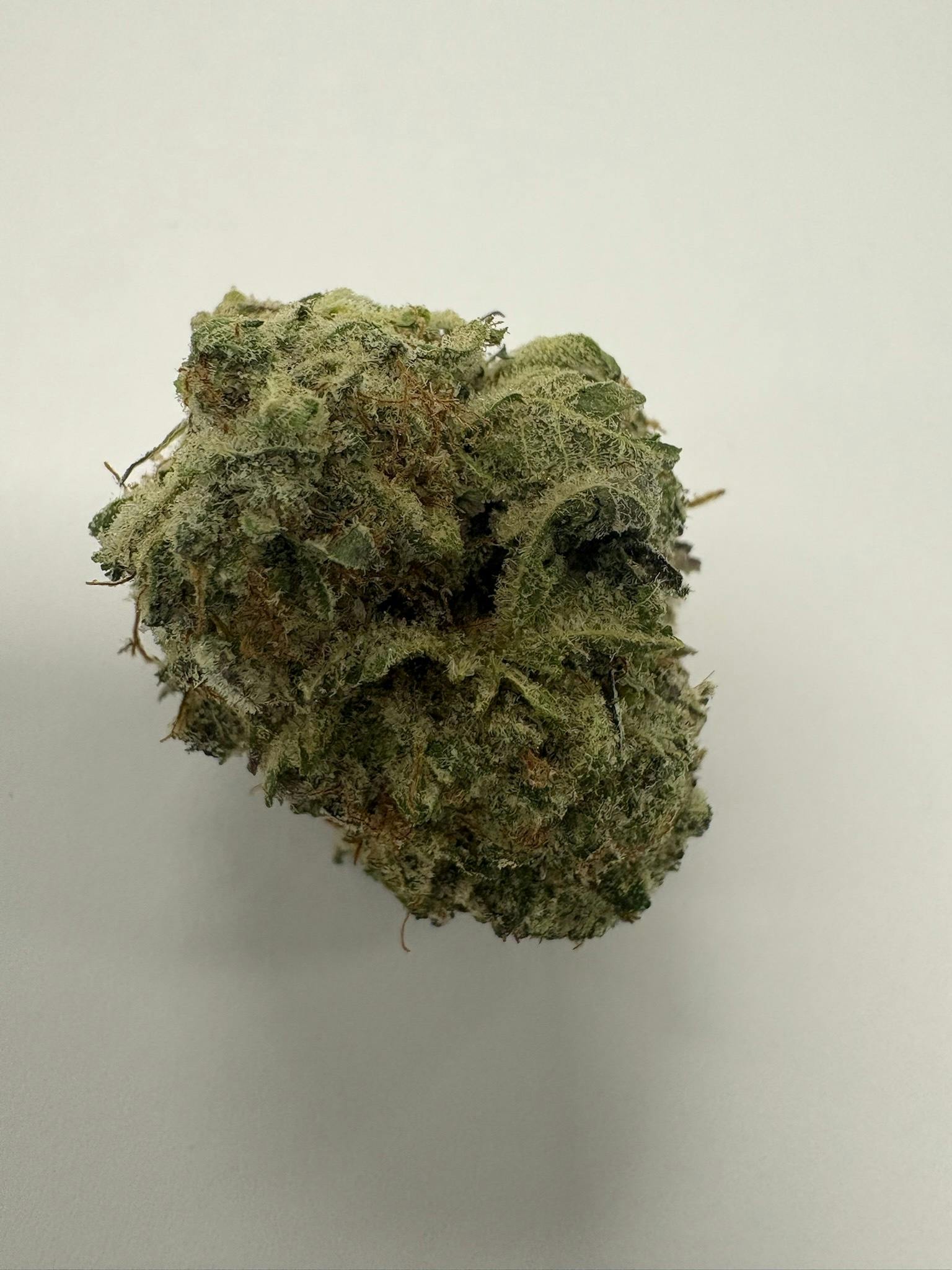 *Premier Shelf* Cha Cha $150/OZ OTD