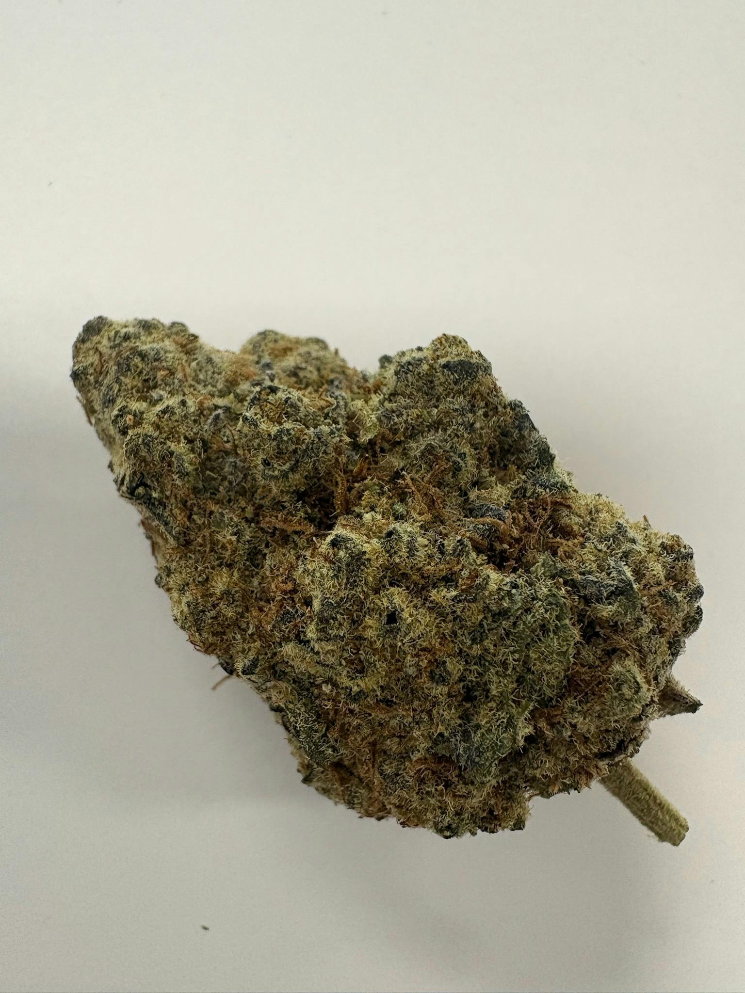 Shelf Narc /oz Otd