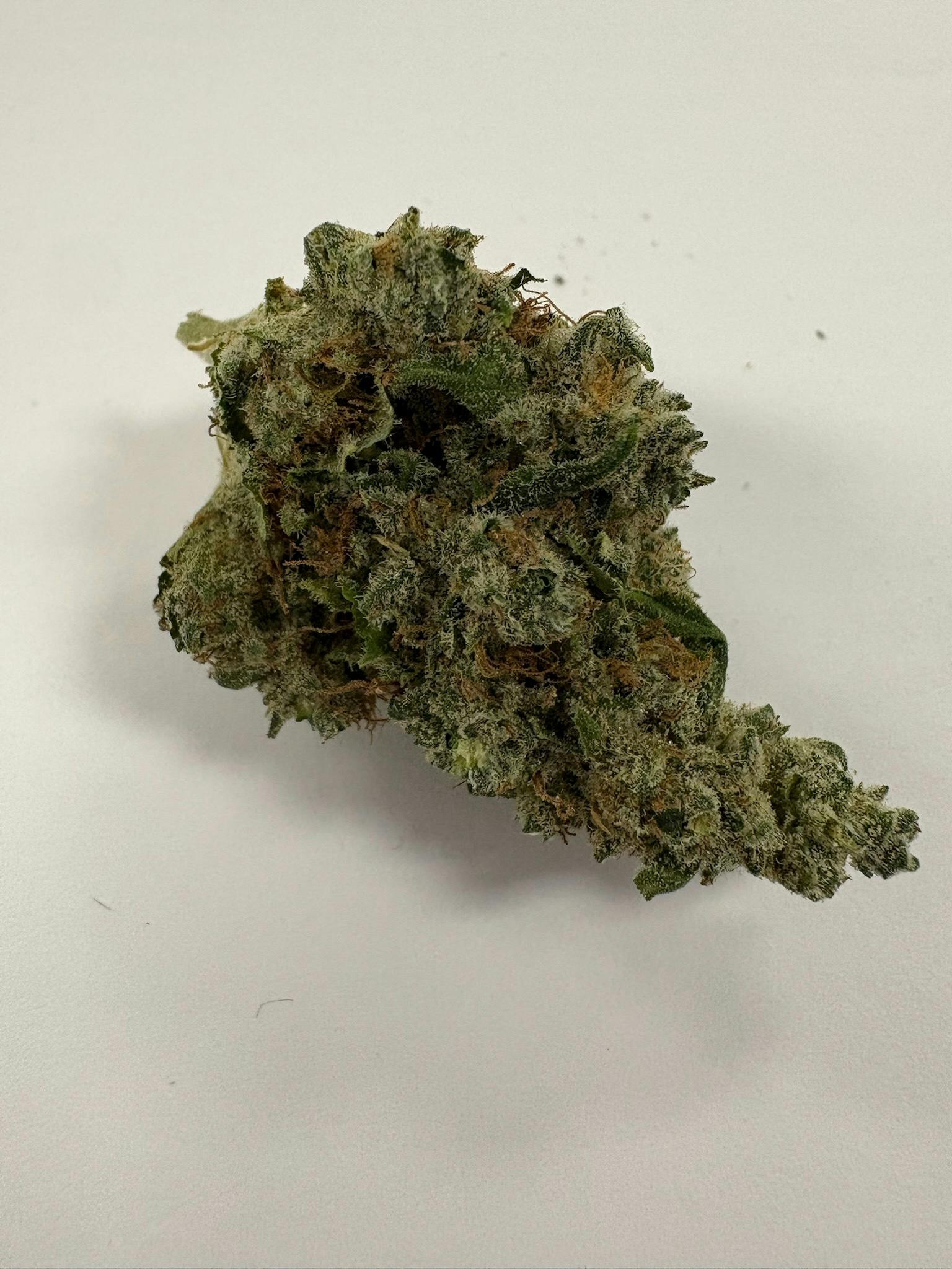 Premier Shelf C 13 Haze /oz Otd