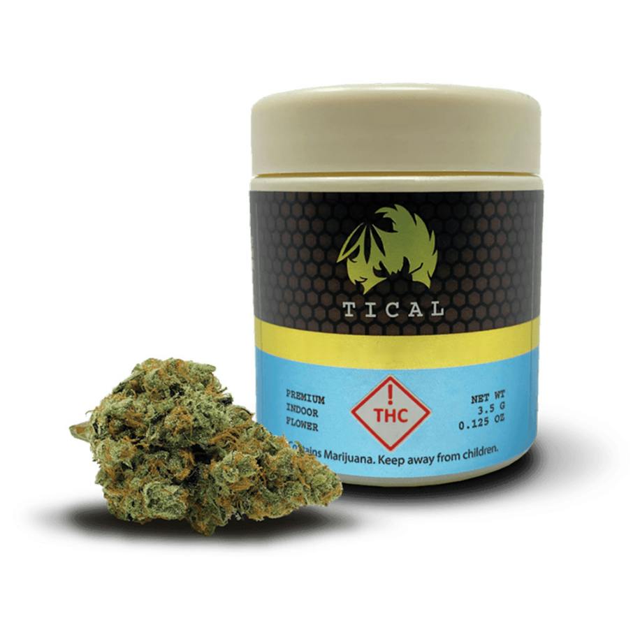 Tical | Eighths | (H) Blazini