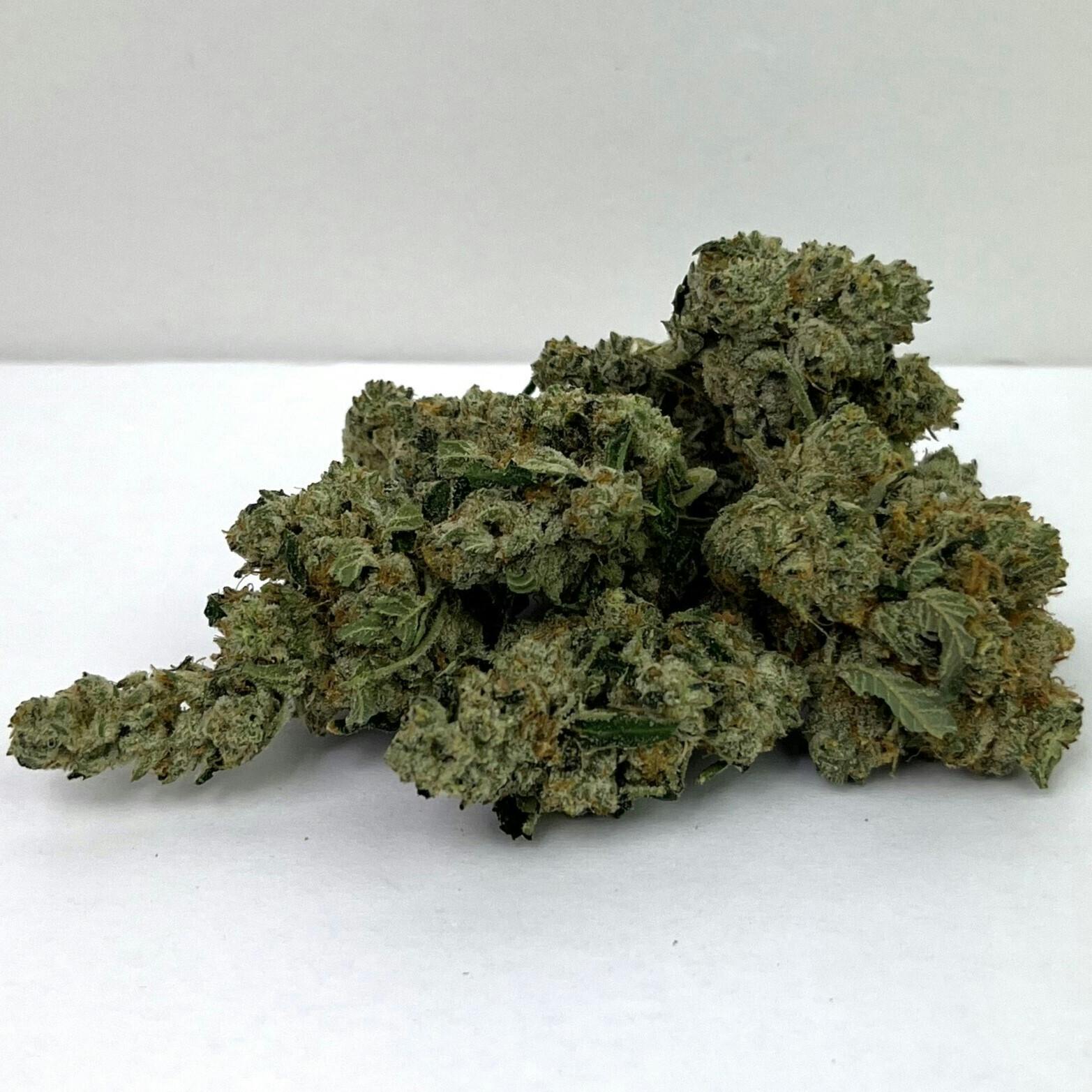 Silver Lake | Premier Shelf Flower | (H) Gary Payton