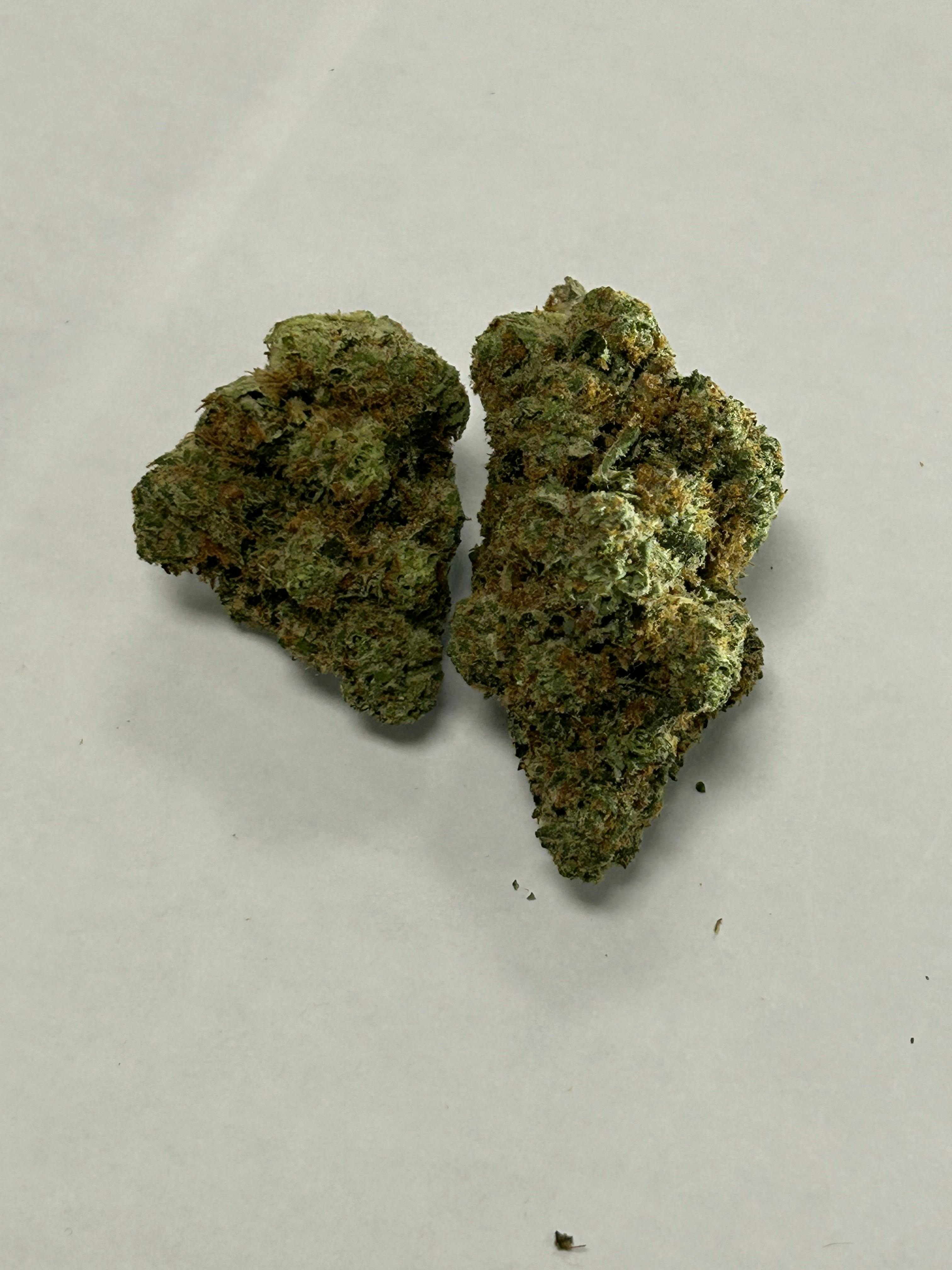 *Premier Shelf* Tangilope $150/OZ OTD