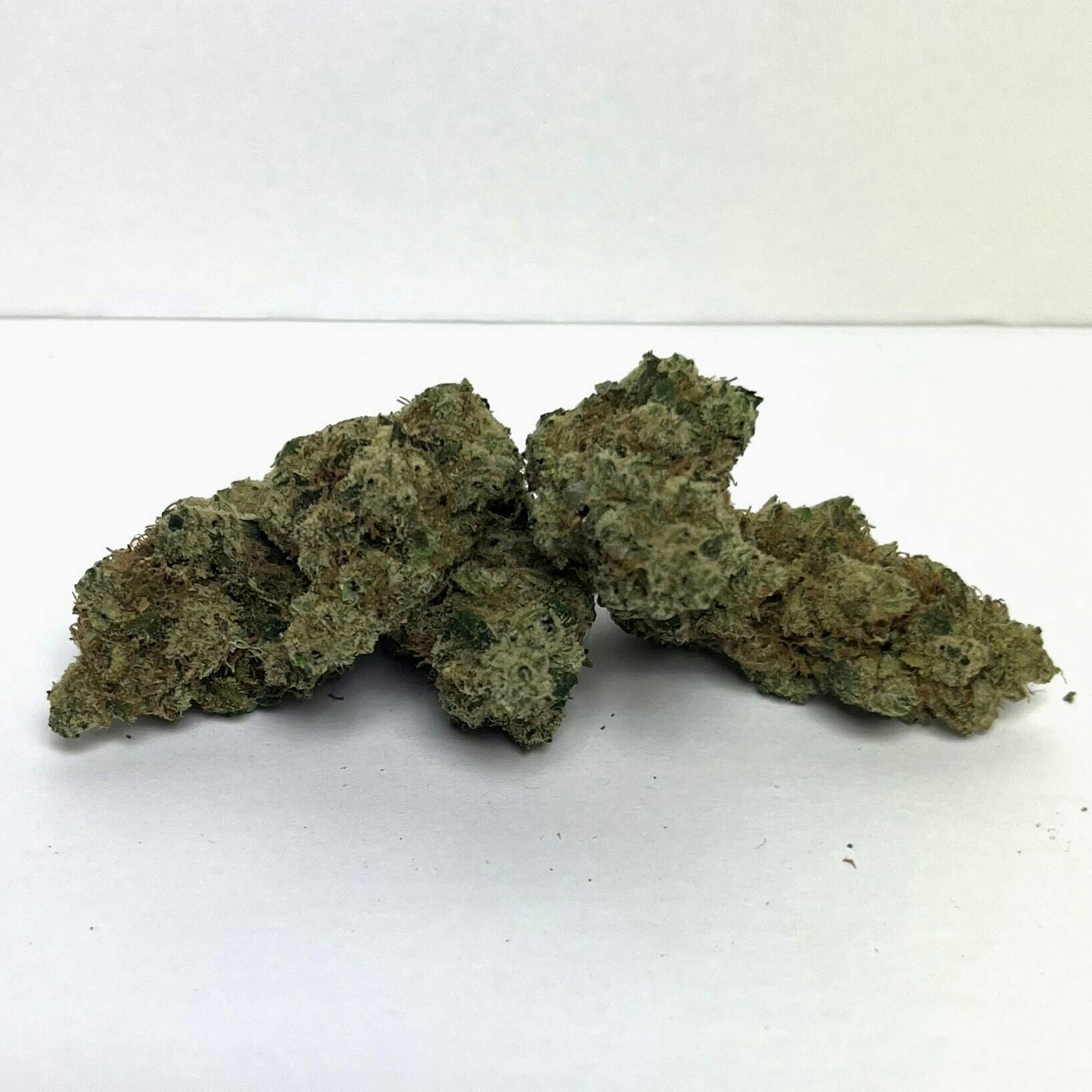 NOBO | Reserve Shelf Flower | (S) Havana Haze