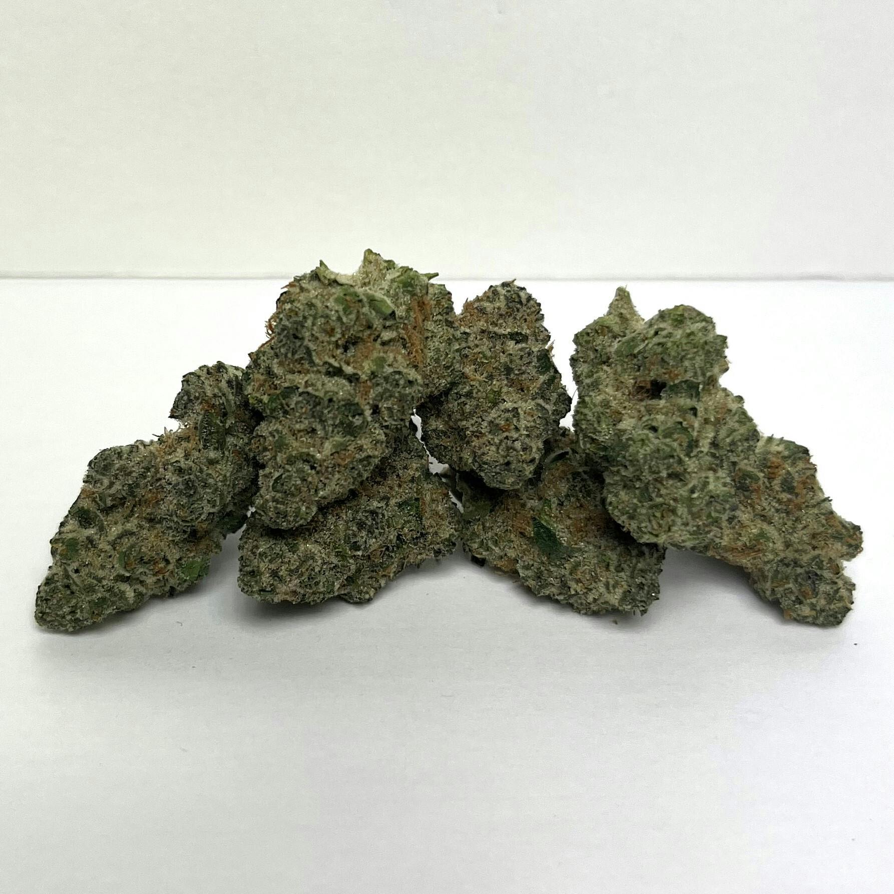 NOBO | Reserve Shelf Flower | (S) Super Boof