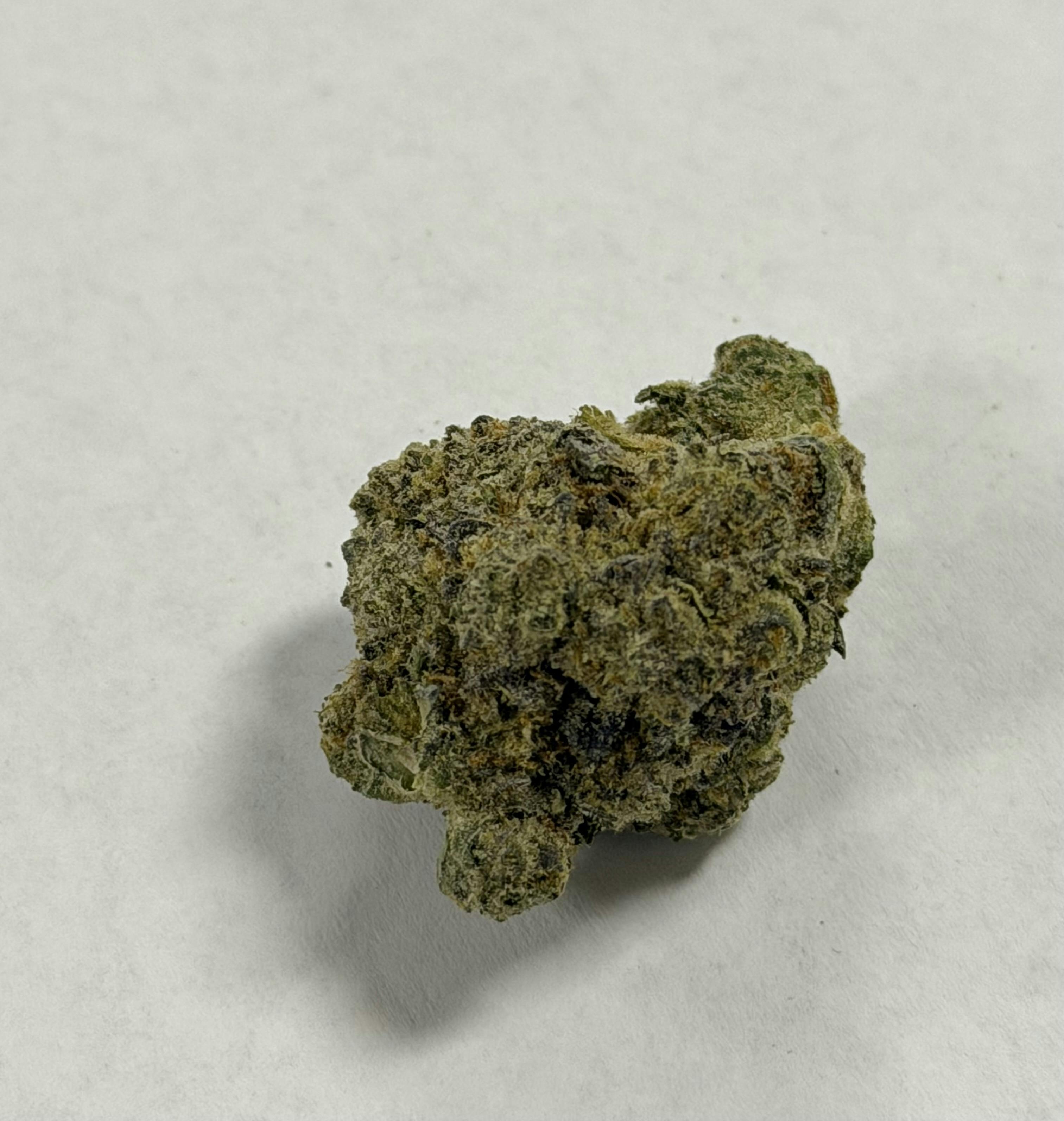 Premier Bonsai At Price Italian Soda Otd