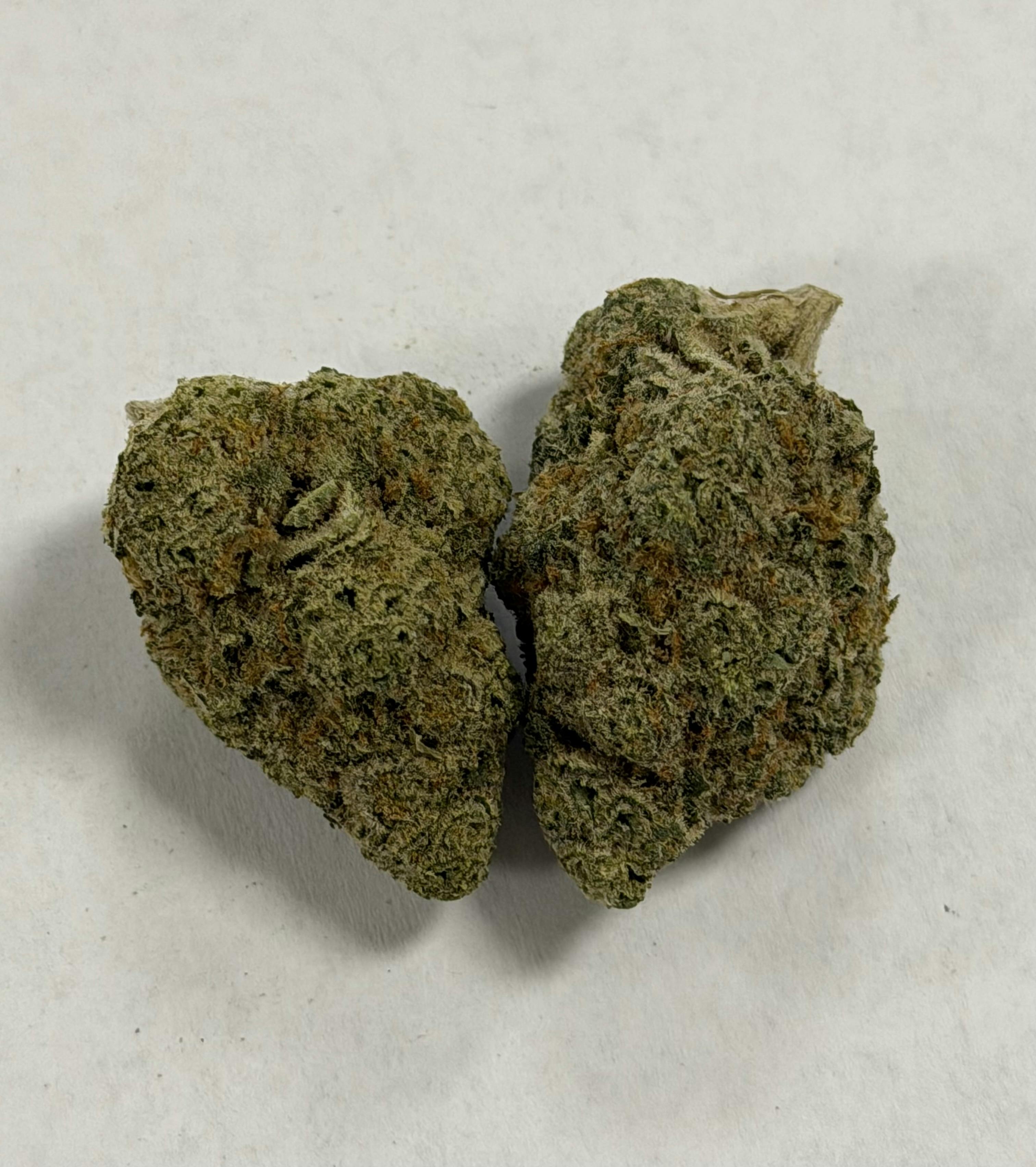 Master Mint /oz Otd