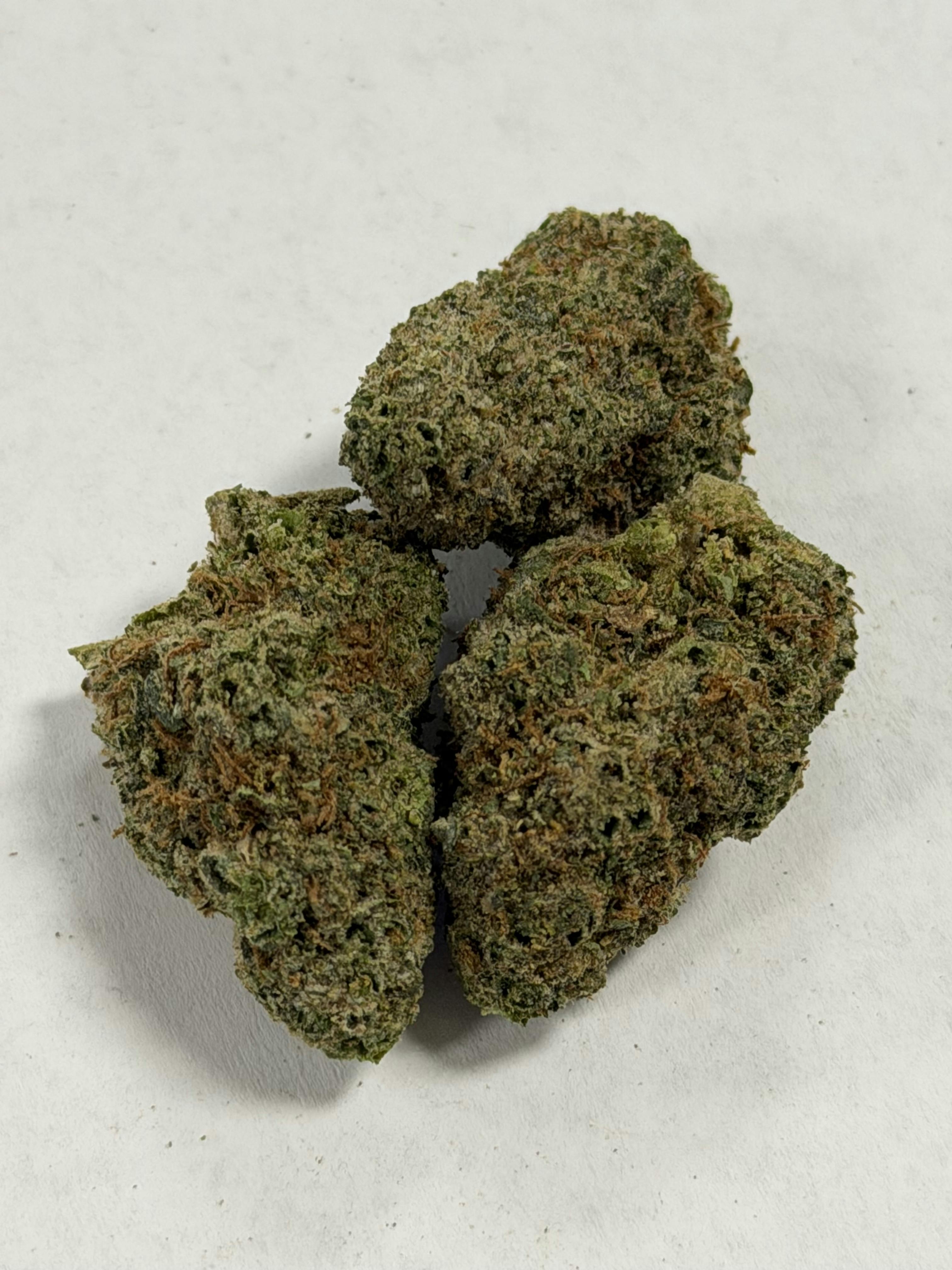 Grease Bucket /oz Otd