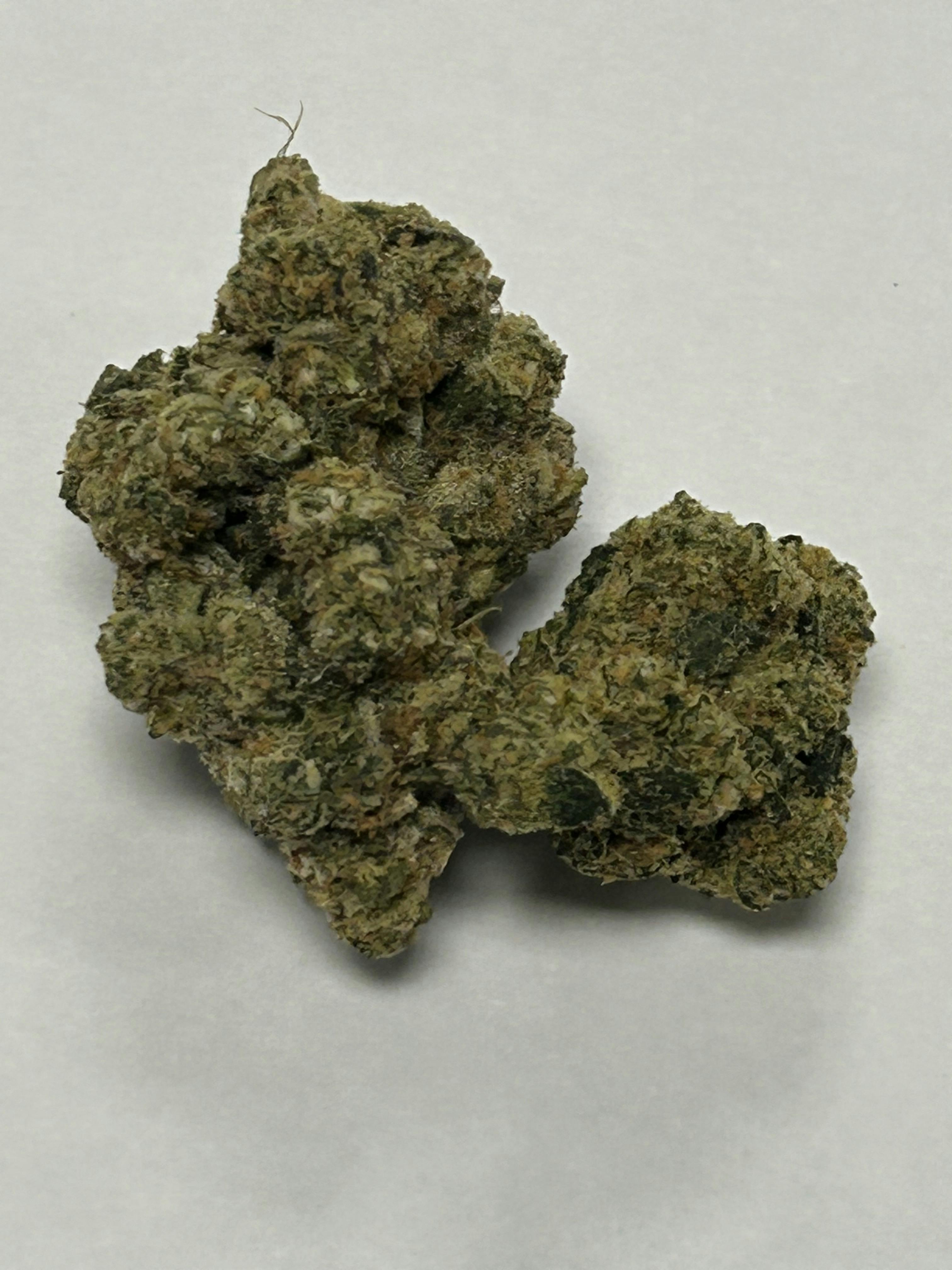 Premier Shelf Horchata /oz Otd