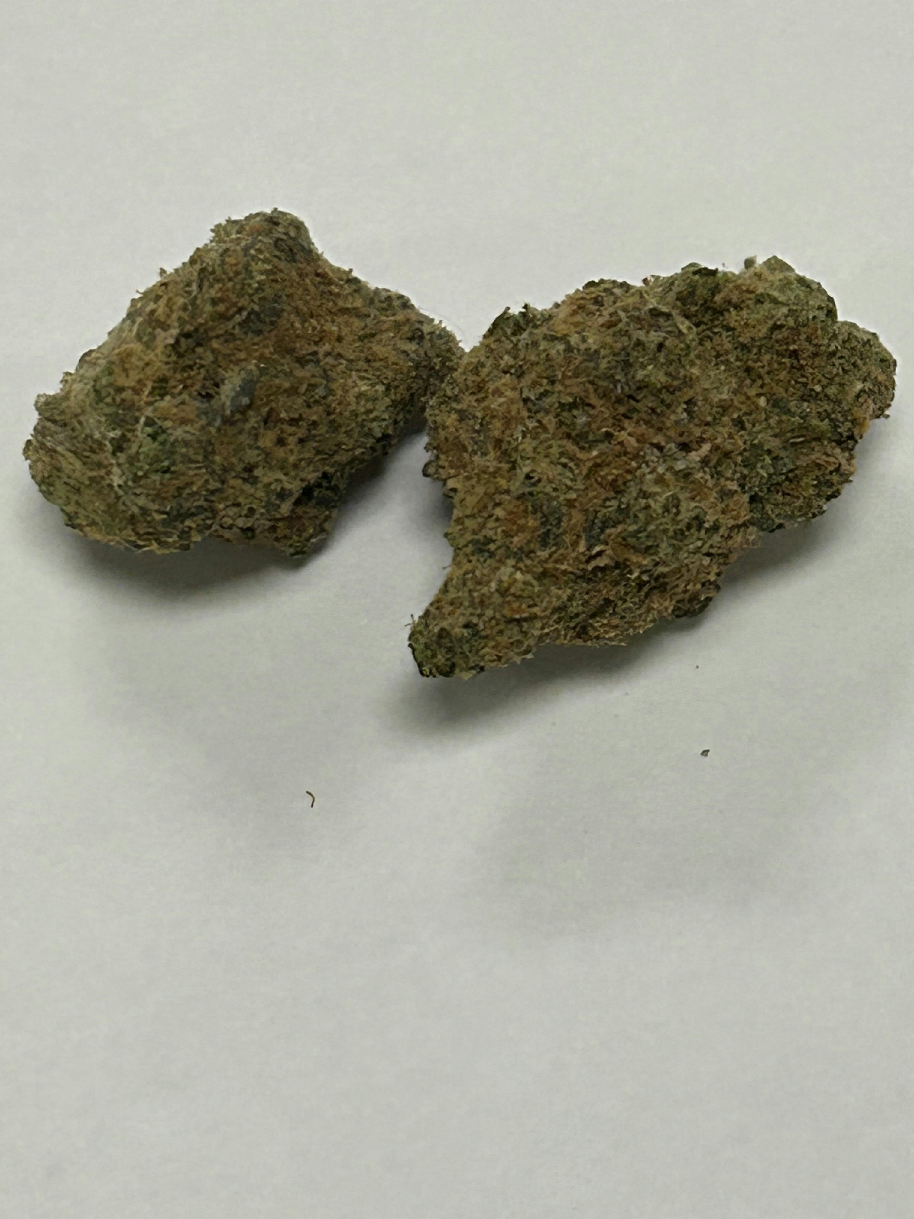 Premier Shelf Specimen x /oz Otd