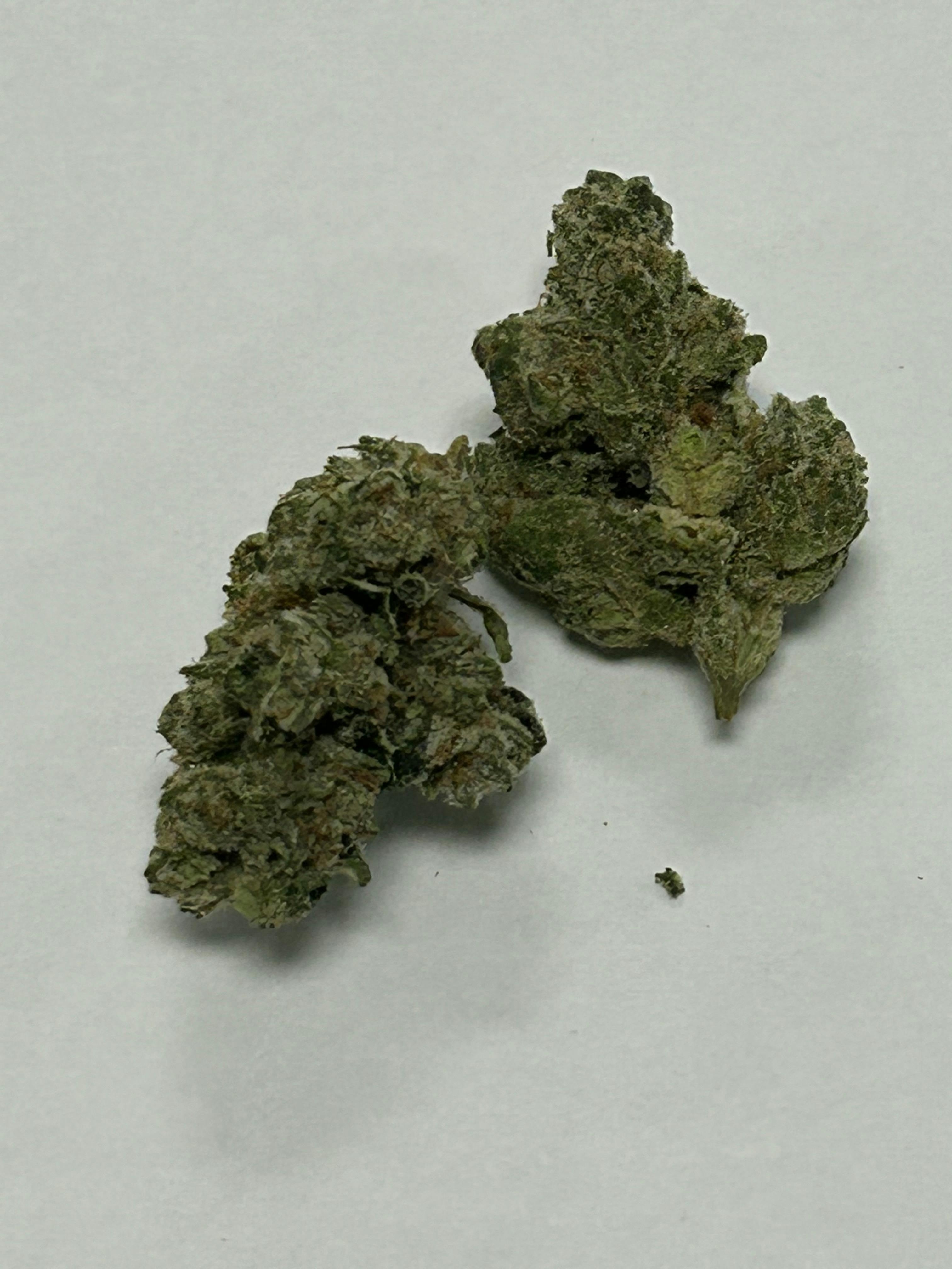 Premier Shelf Ajs Joker Og /oz Otd