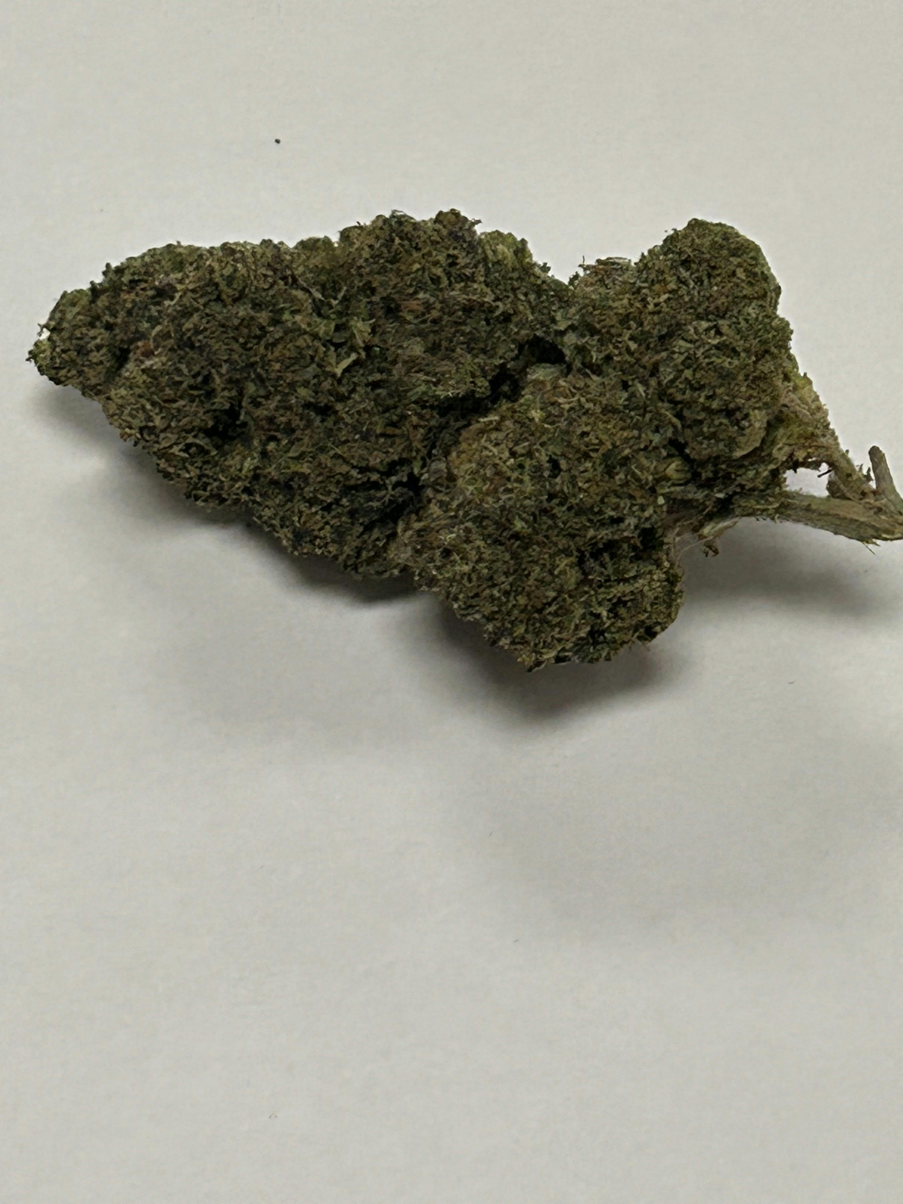 Premier Shelf Jokerz /oz Otd