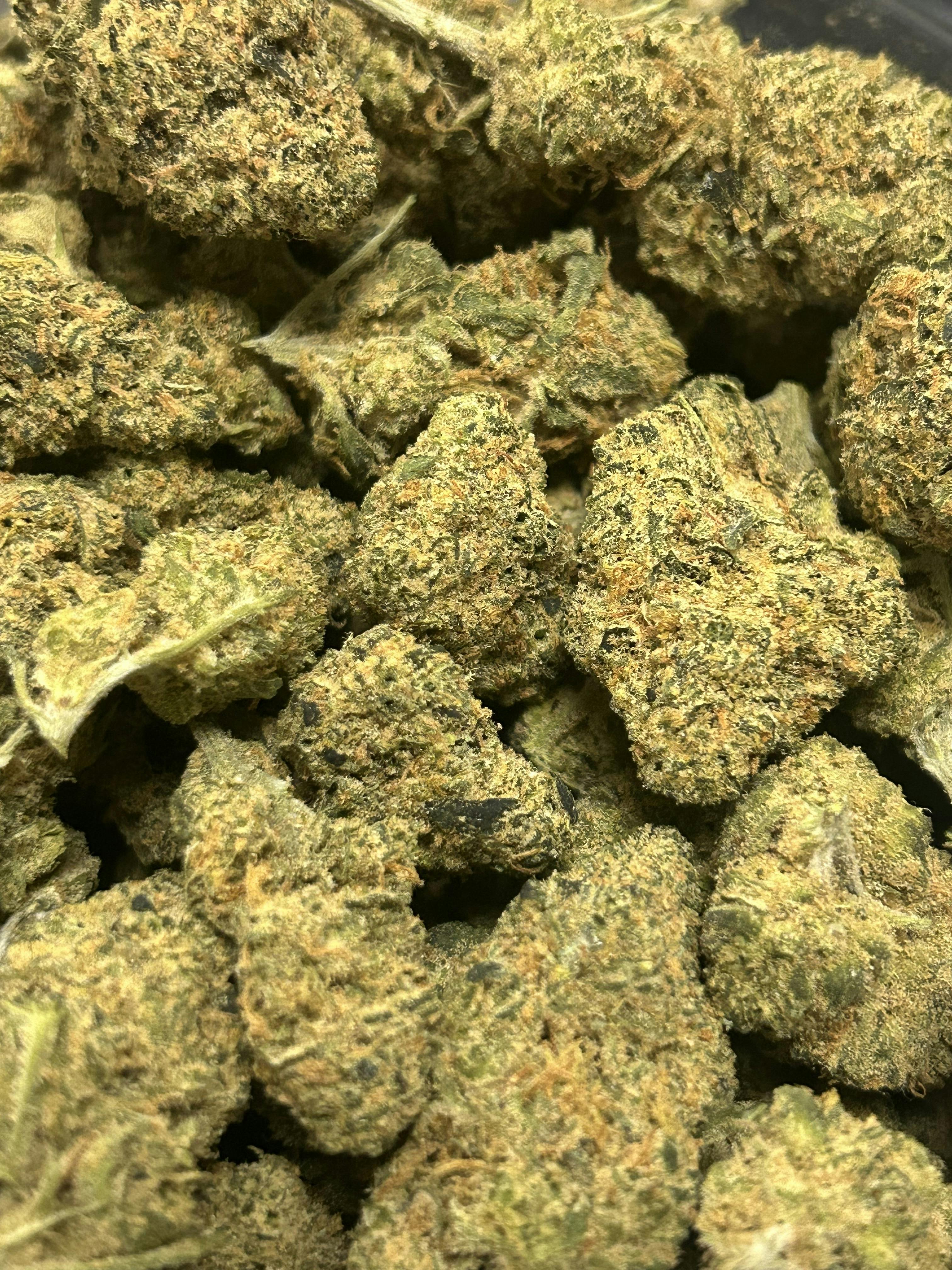 *Premier Shelf* Mango Sunshine $150/OZ OTD