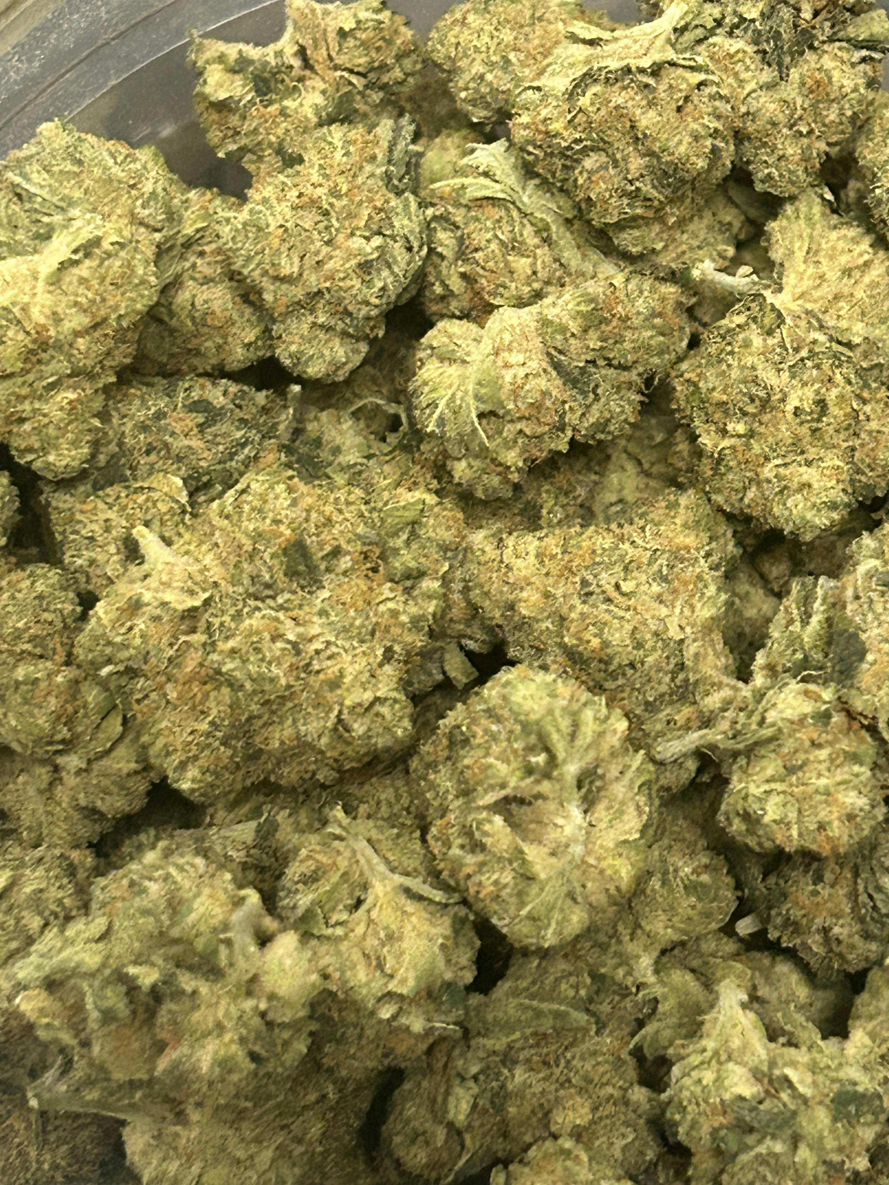 *Premier Shelf* Headband $150/OZ OTD