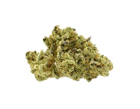 GG4