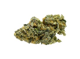 Gelato