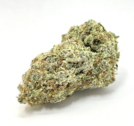 Purple Smuggler