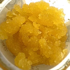 Zebra Ztripez Sugar (Baller Jar)
