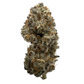 Triple Chocolate Chip ($90 Half/$175 OZ)