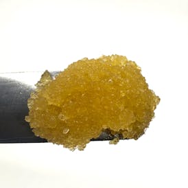 Zebra Ztripez Sugar