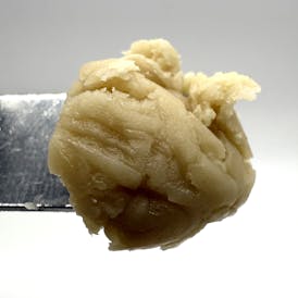 Forbidden Cake Full Spectrum Hash Rosin