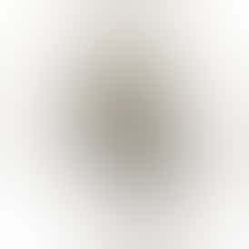 Triple Chocolate Chip ($75 Half/$140 OZ)