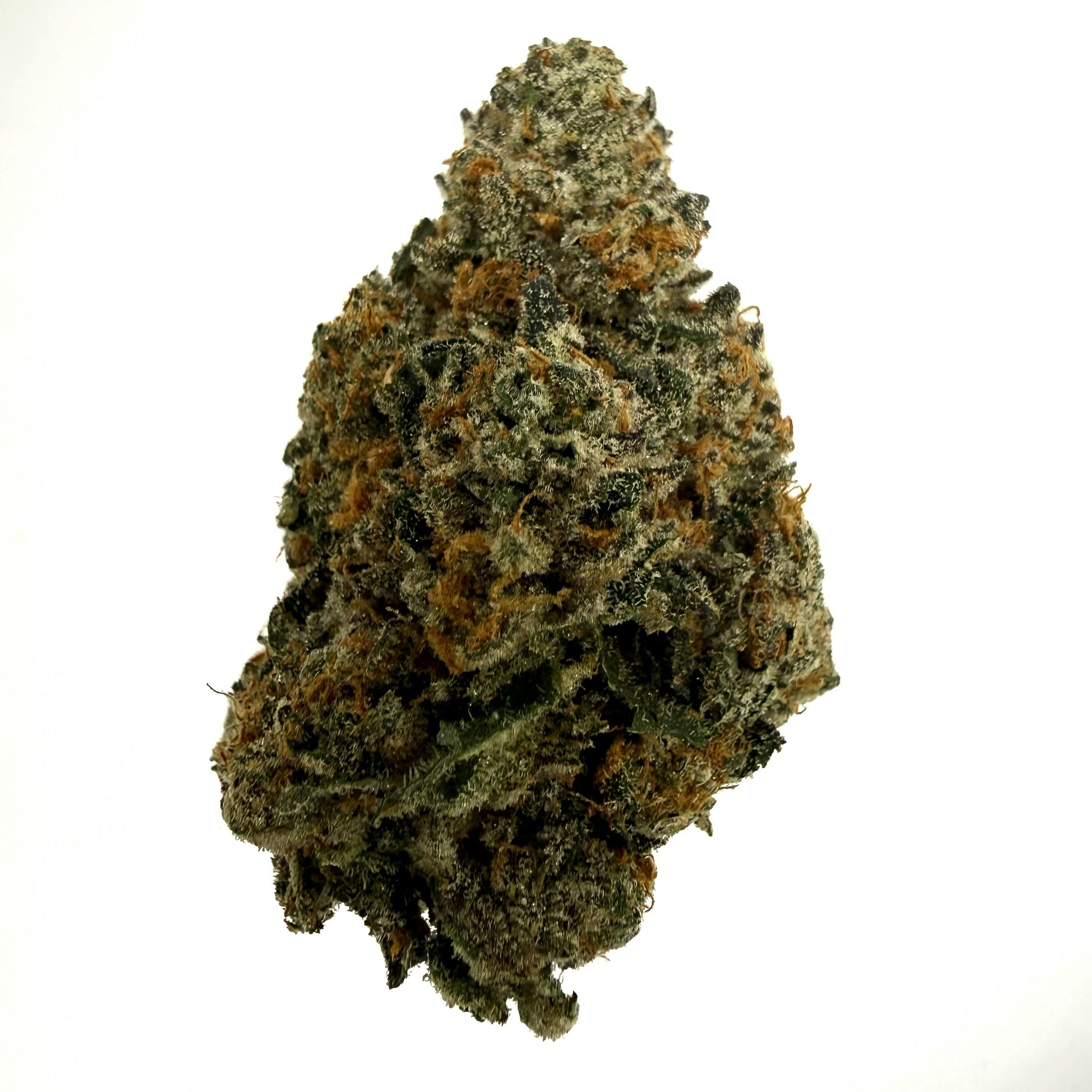 Amaretto Sour ($55 Half/$100 OZ)