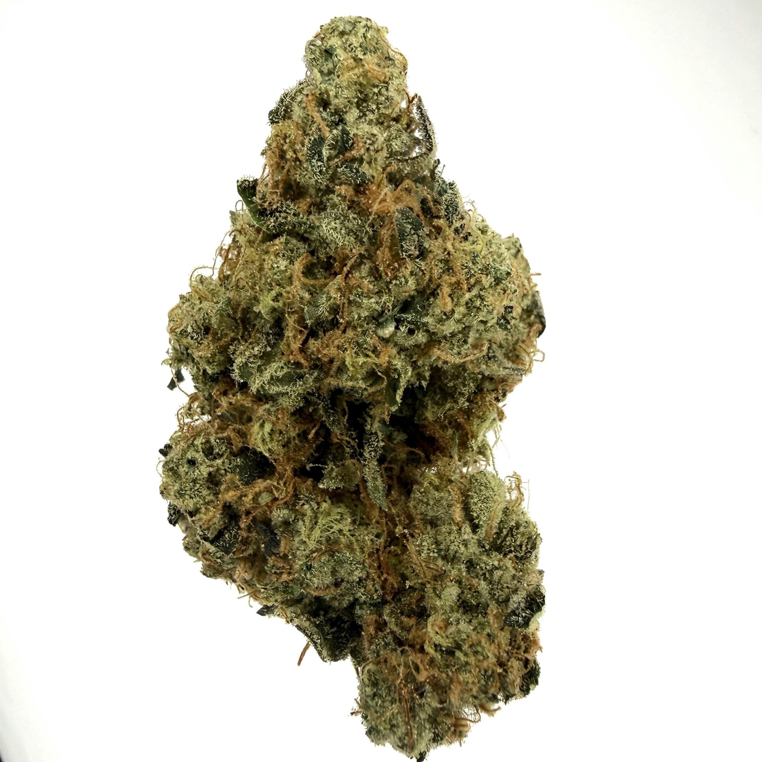 Medellin ($75 Half/$140 OZ)