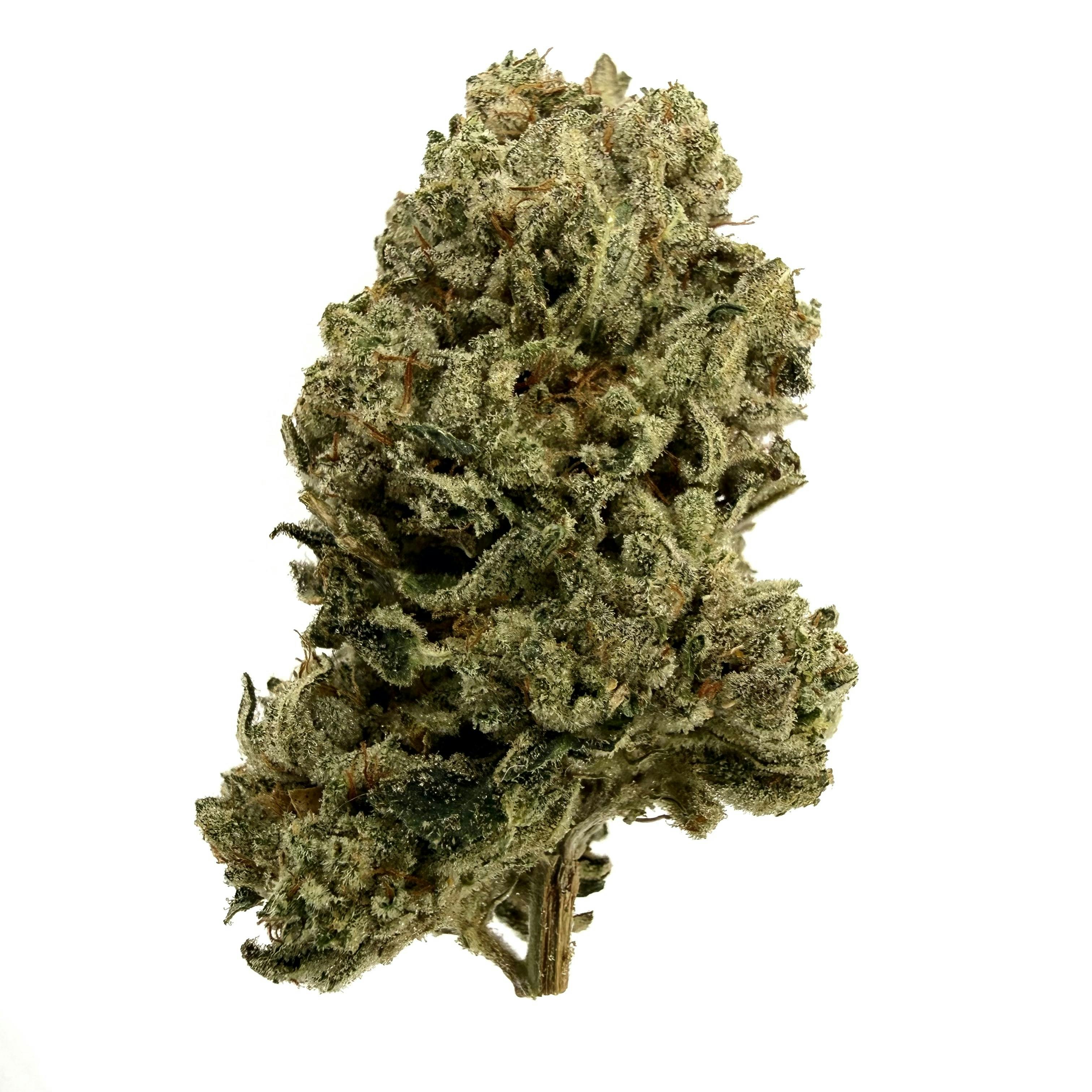 OG Glue ($75 Half/$140 OZ)
