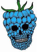Grizzly - Blue Razz - 1000mg Gummies