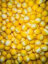 Feed Lemon Burst Freeze Dried Heads