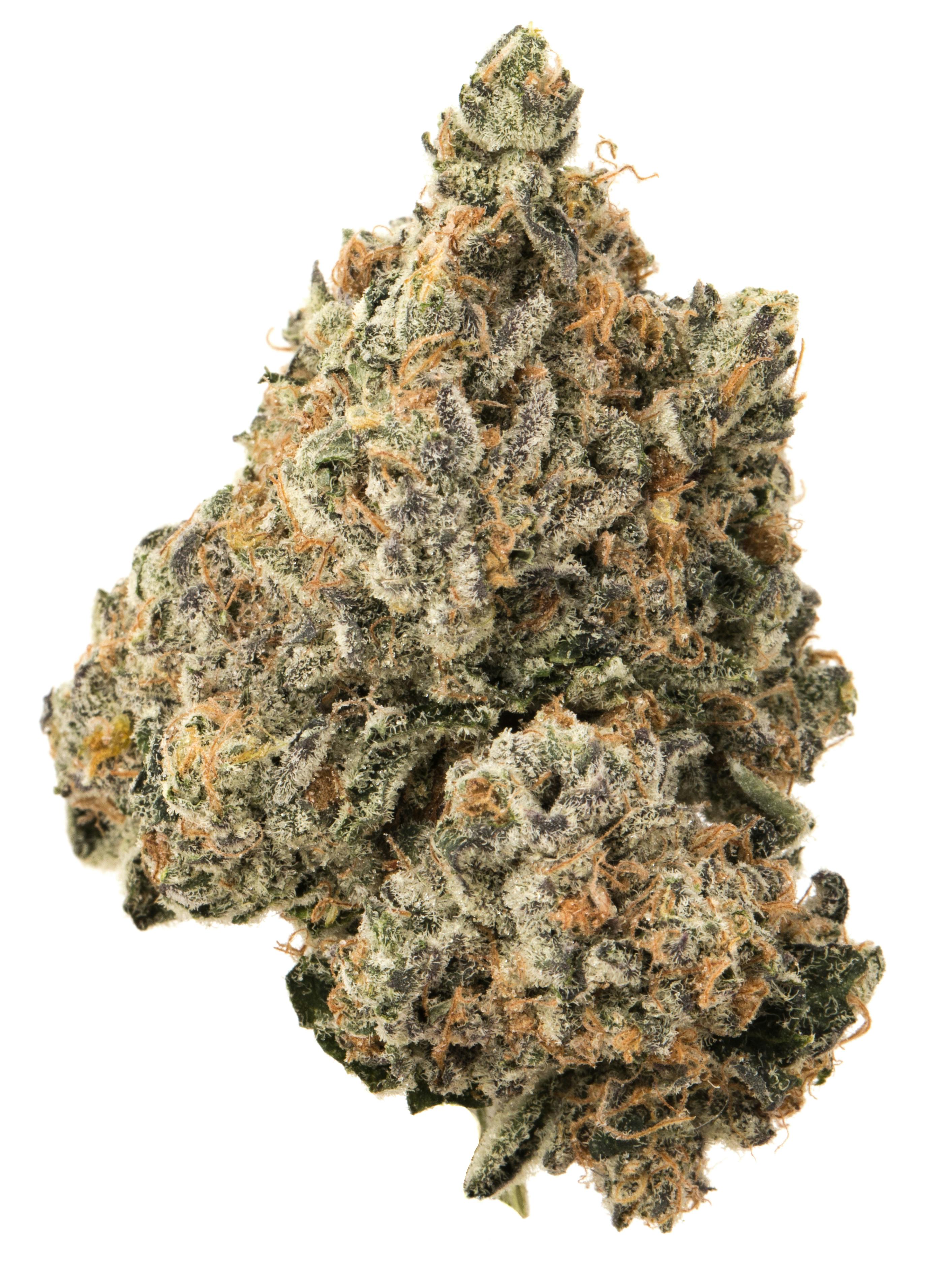Blossom | Premium Bigs | Monkey Berries