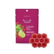 WYLD ONE | Raspberry Lime 1:1 THC:CBD Hybrid Scored Gummy | 100mg | Single