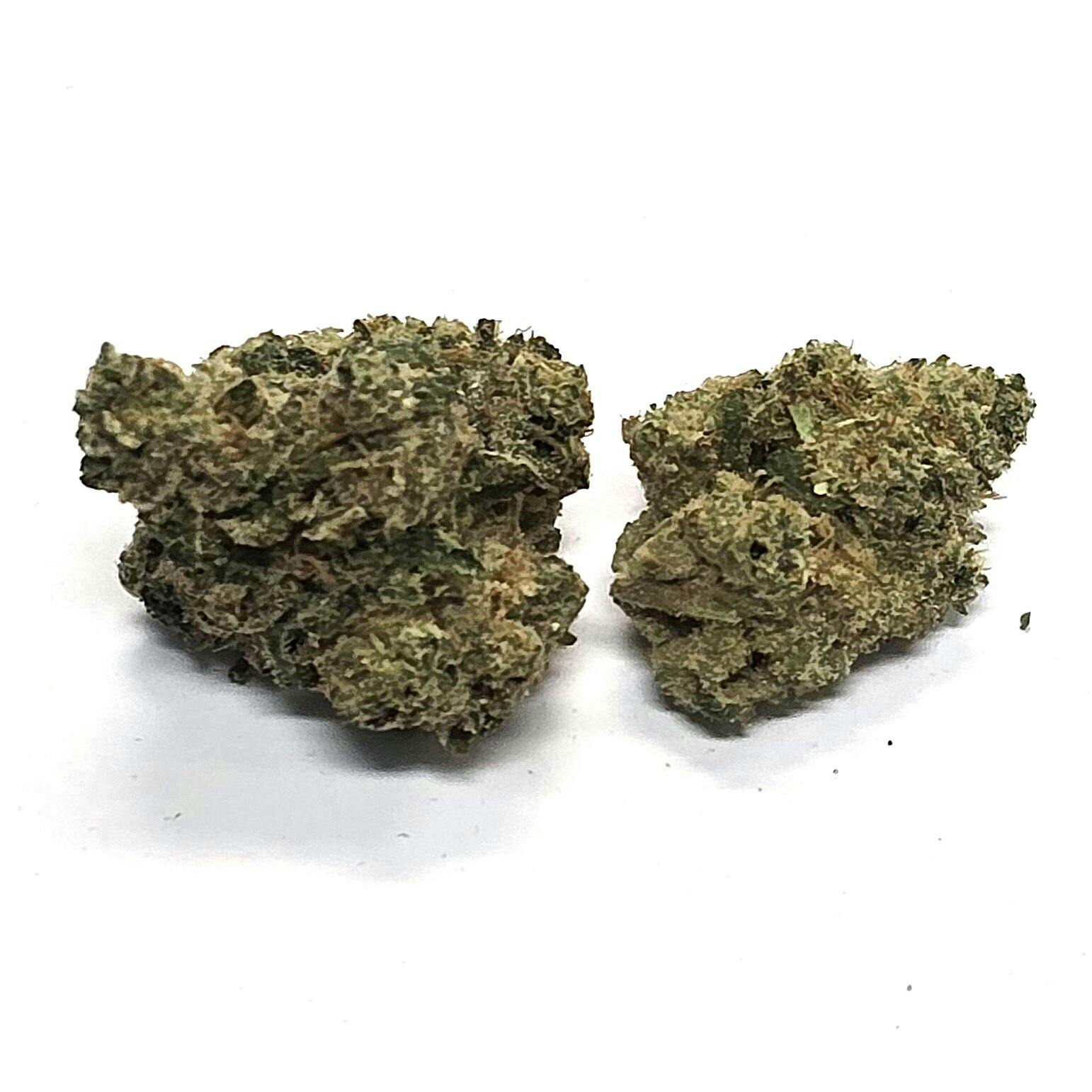 Purple Jelly - Buds
