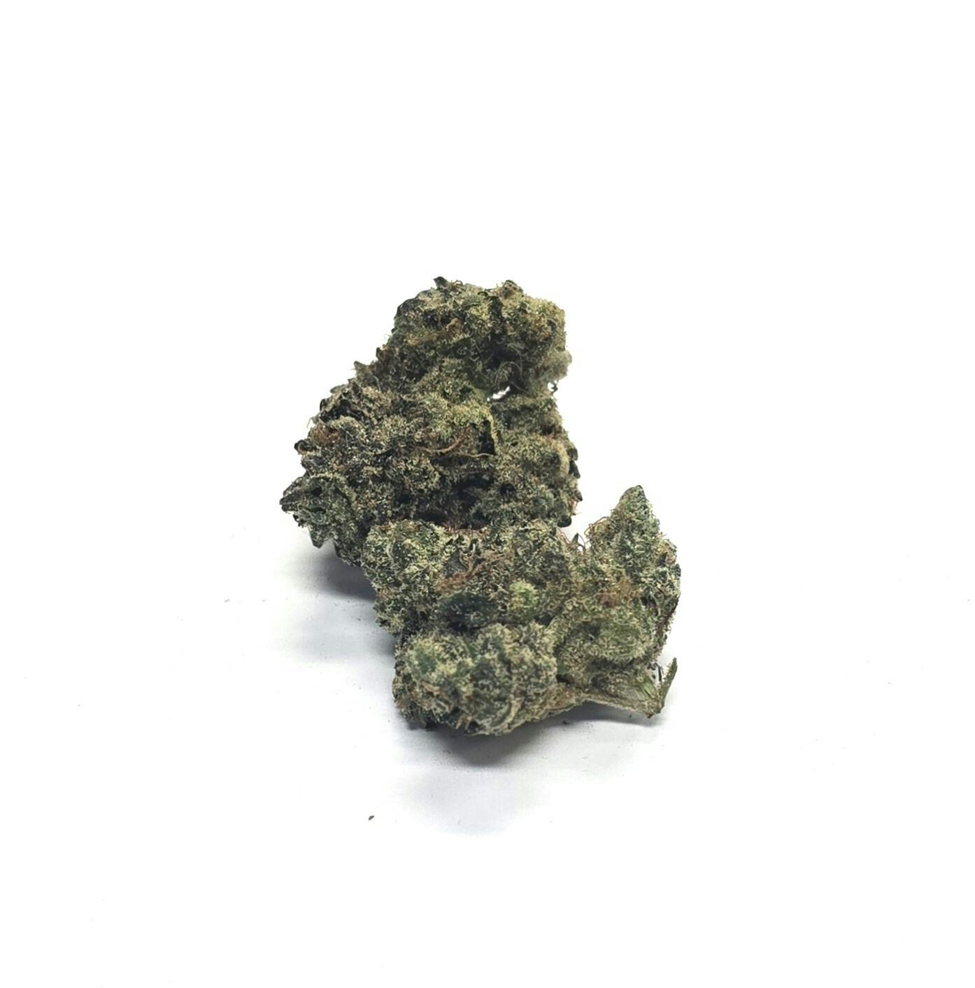 MEDIUM Buds - Chardonnay-BLOSSOM